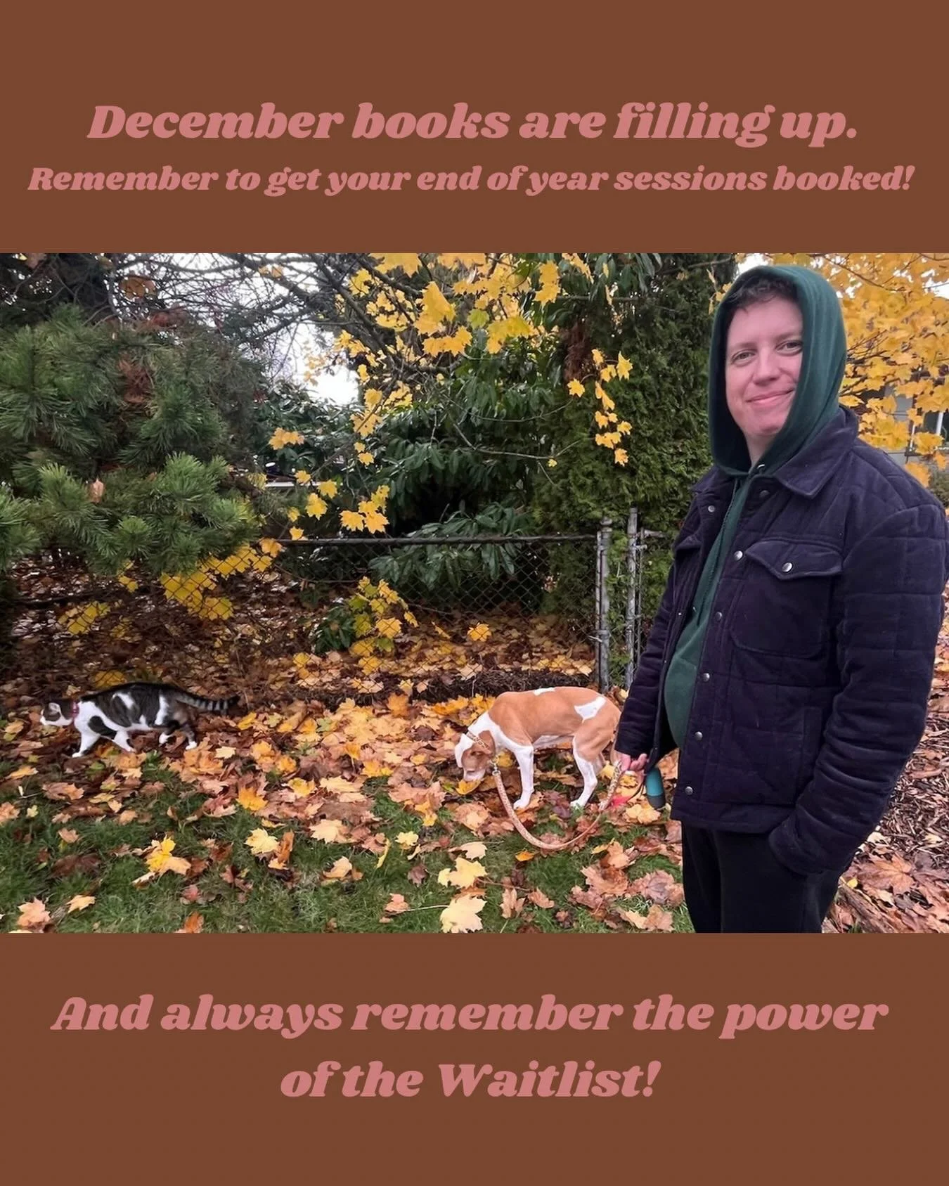 Things are filling up quickly: my next acupuncture opening is December 19th!

Please book your end-of-year appointments soon.

If you&rsquo;re a returning patient needing acute care, don&rsquo;t forget to add your name to the waitlist. Cancellations 