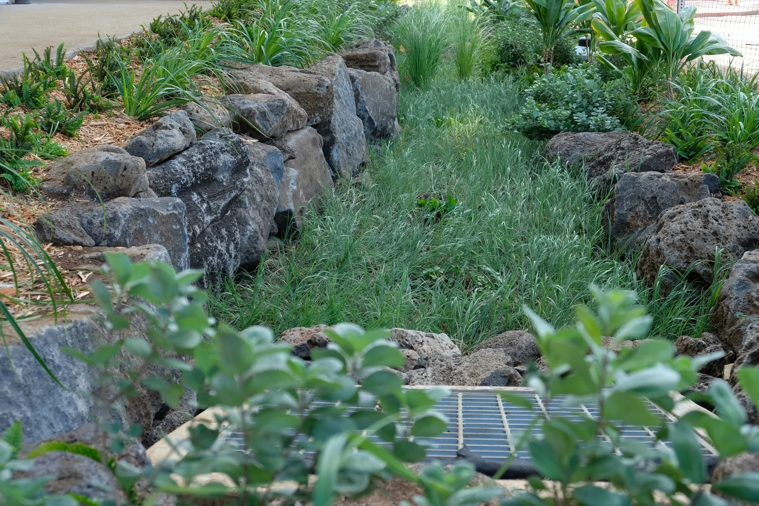 West Loch Modular Transitional Housing — Ki Concepts