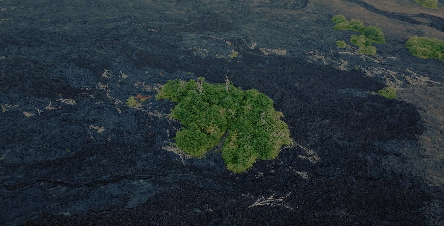 Kipuka-Drone_Still.jpg