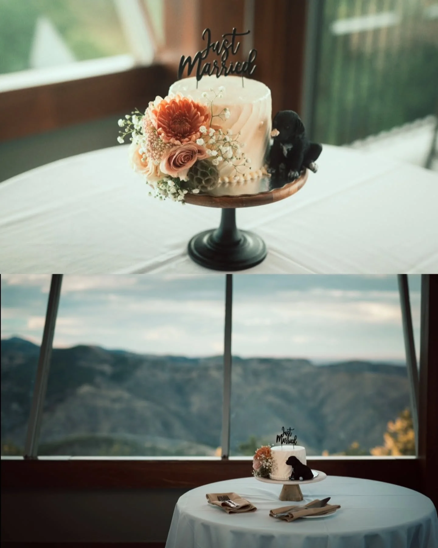There's wedding cake.. and then there's wedding cake with a VIEW😍

I didn't think cake could get any better, but I'm an adult and can admit when I'm wrong.