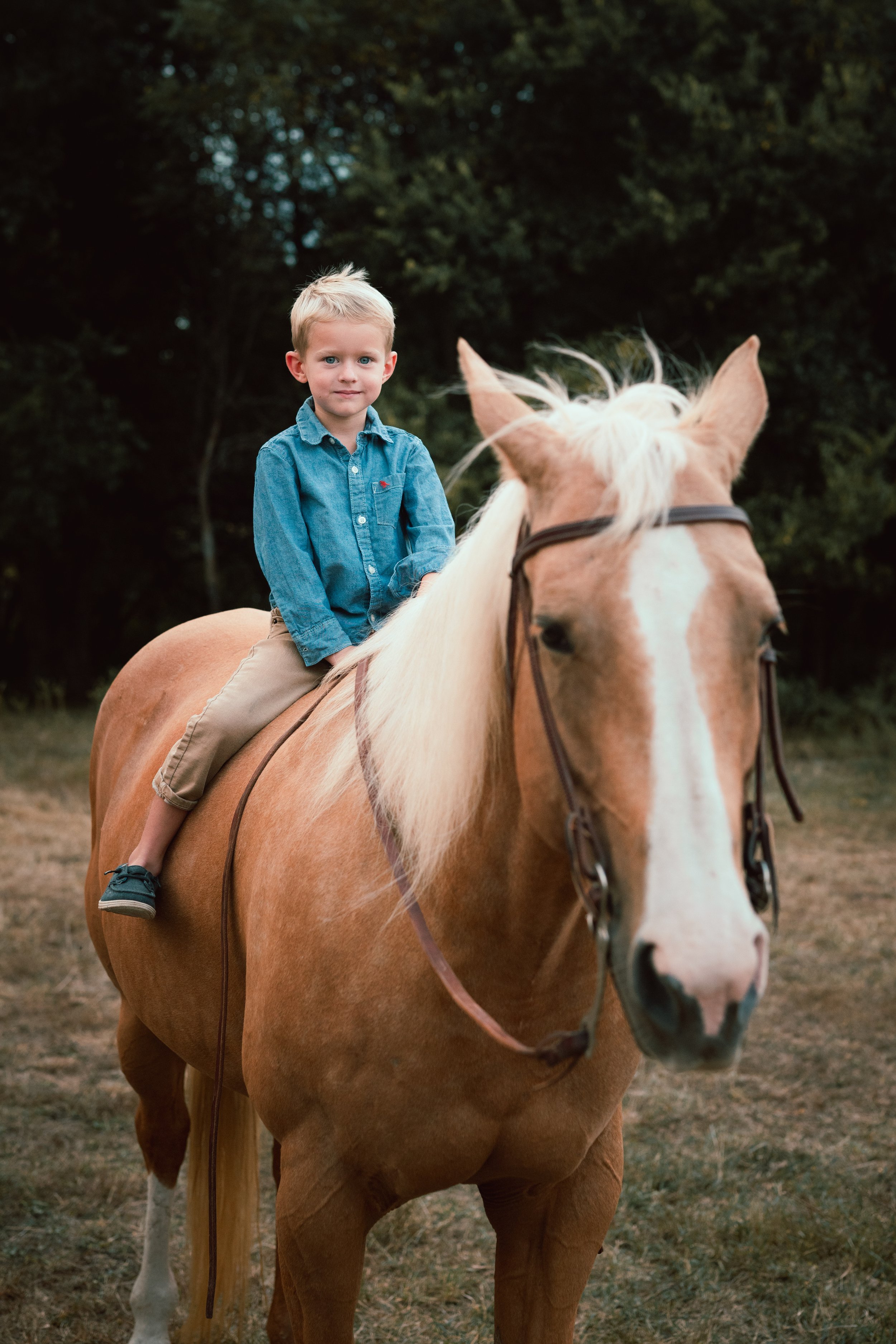 GEYER_FAMILY_FARM_PHOTO_SESSION (32).jpg