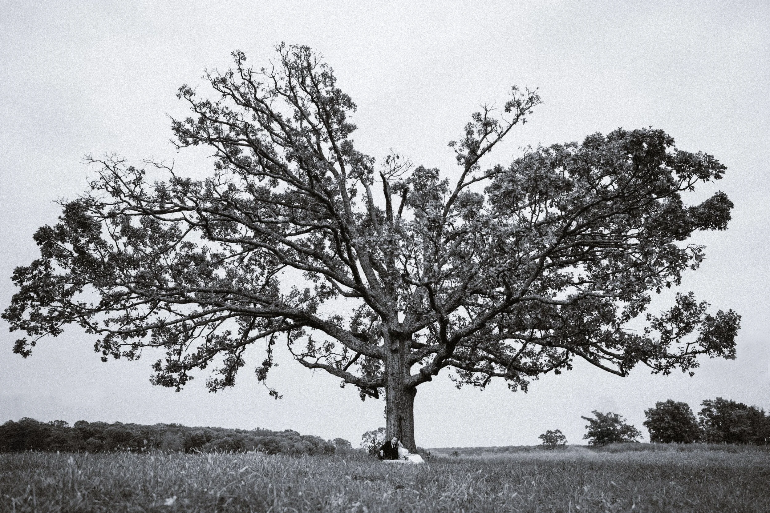 KATI_CHRIS_BRIDE_GROOM_PORTRAITS (94).jpg