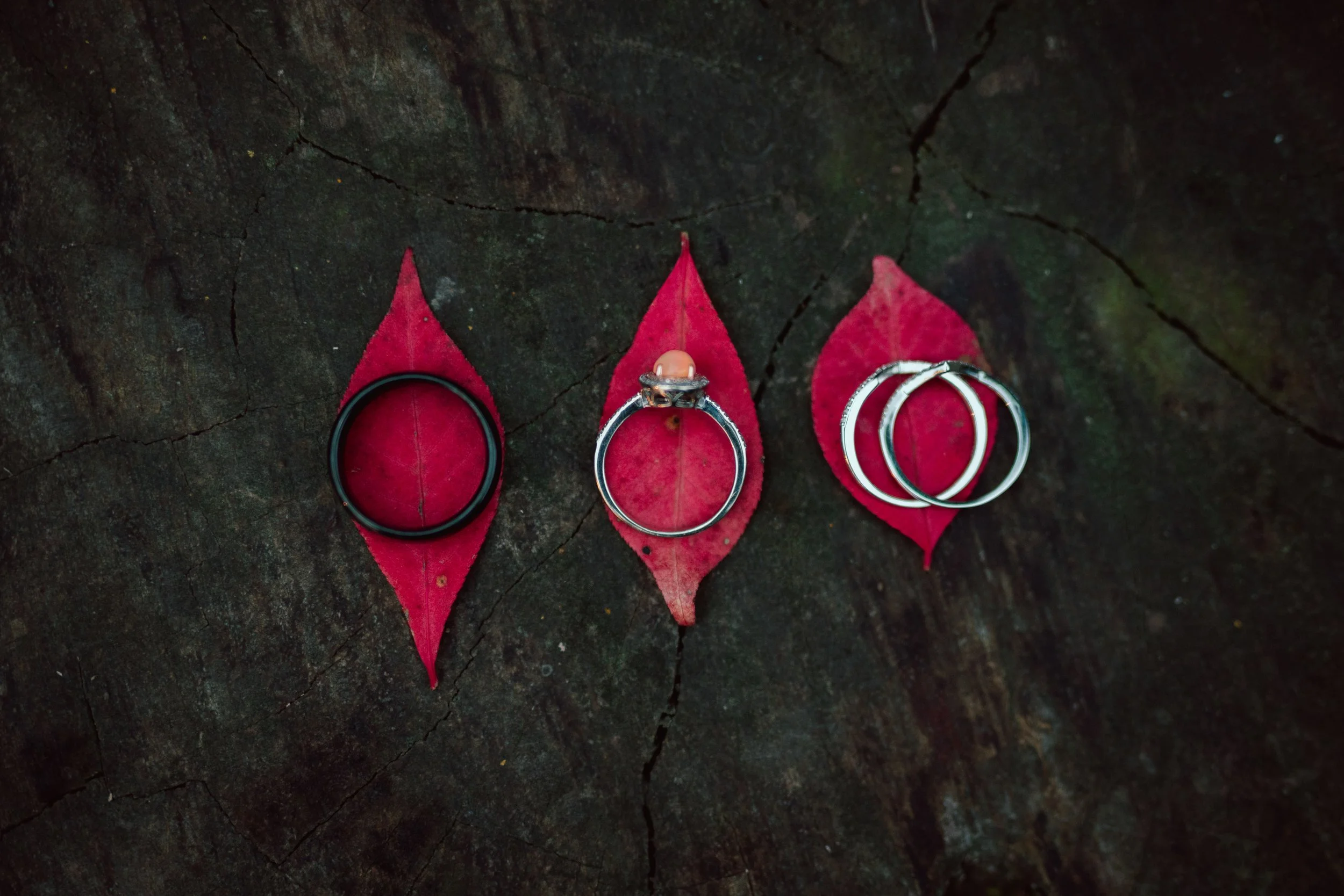 KEALIE_ADAM_WEDDING_DETAILS (11).jpg