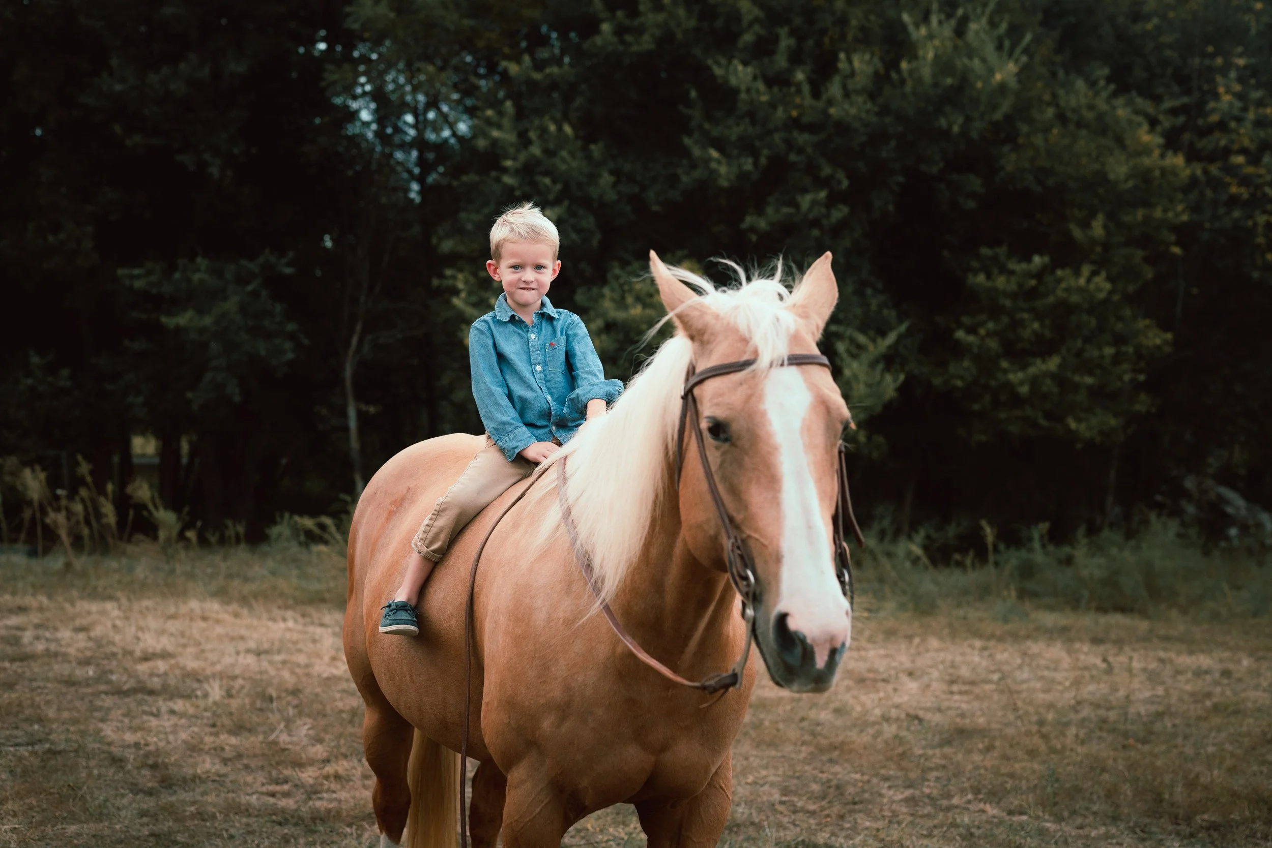 GEYER_FAMILY_FARM_PHOTO_SESSION (33).jpg
