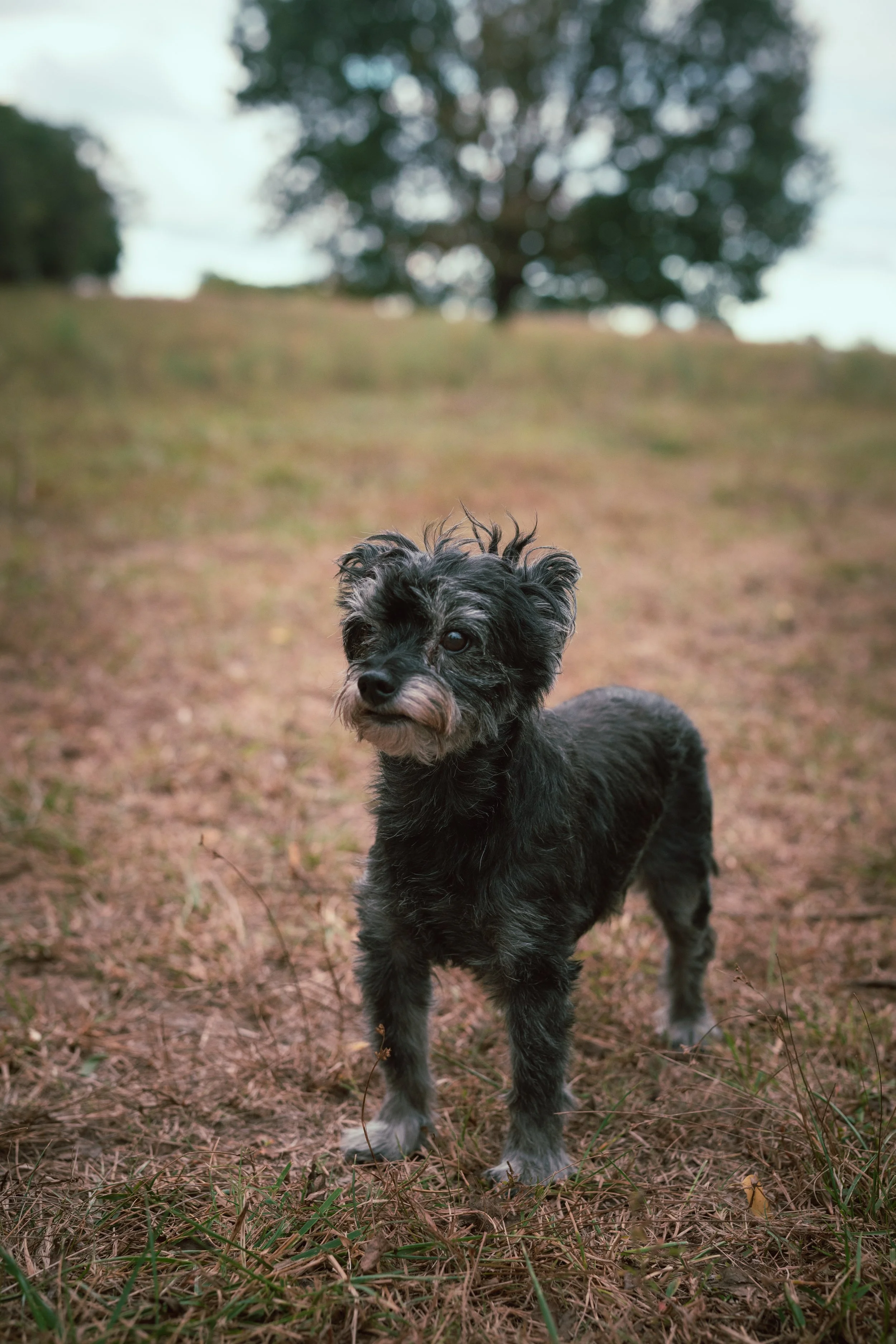 GEYER_FAMILY_FARM_PHOTO_SESSION (18).jpg