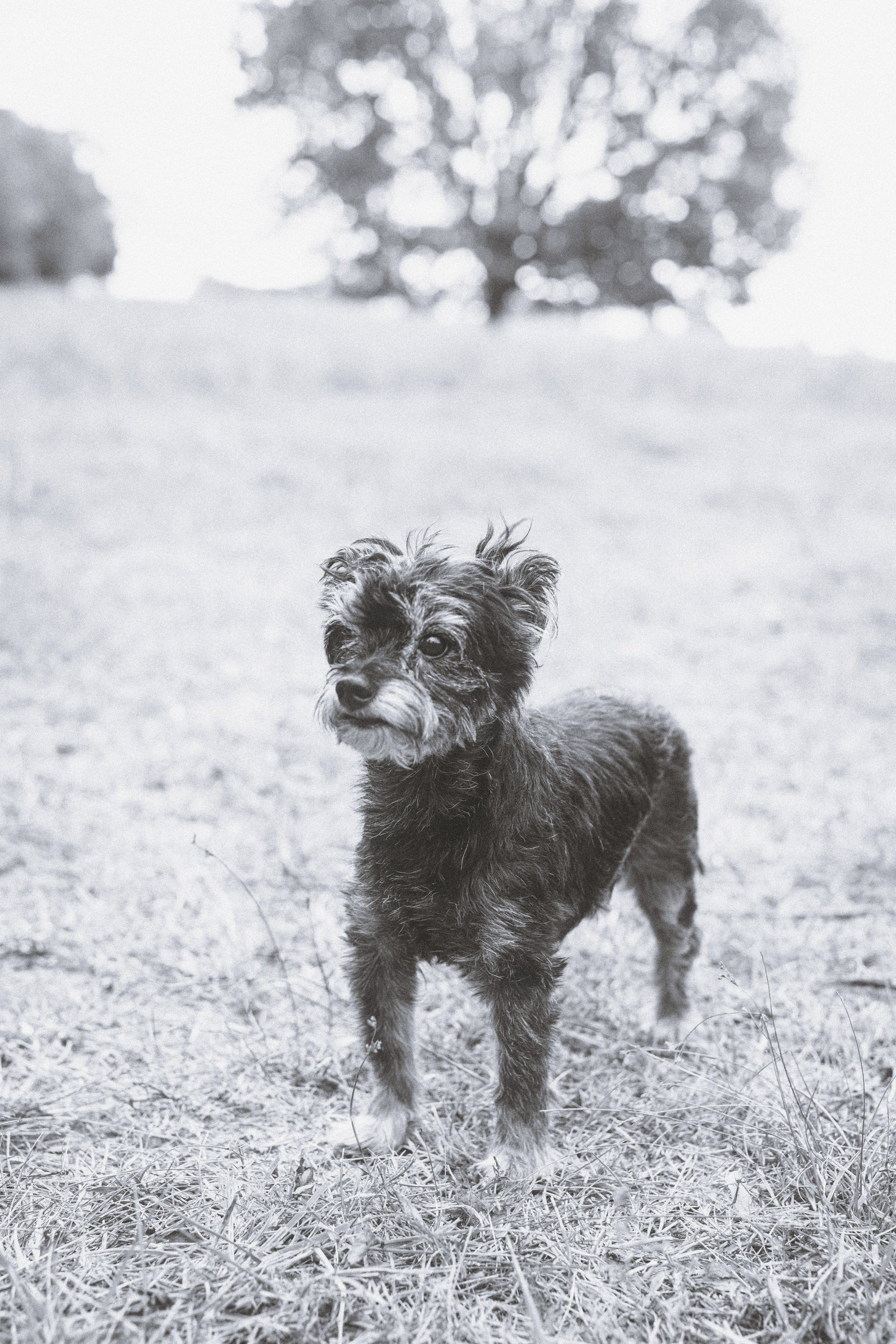 GEYER_FAMILY_FARM_PHOTO_SESSION (17).jpg