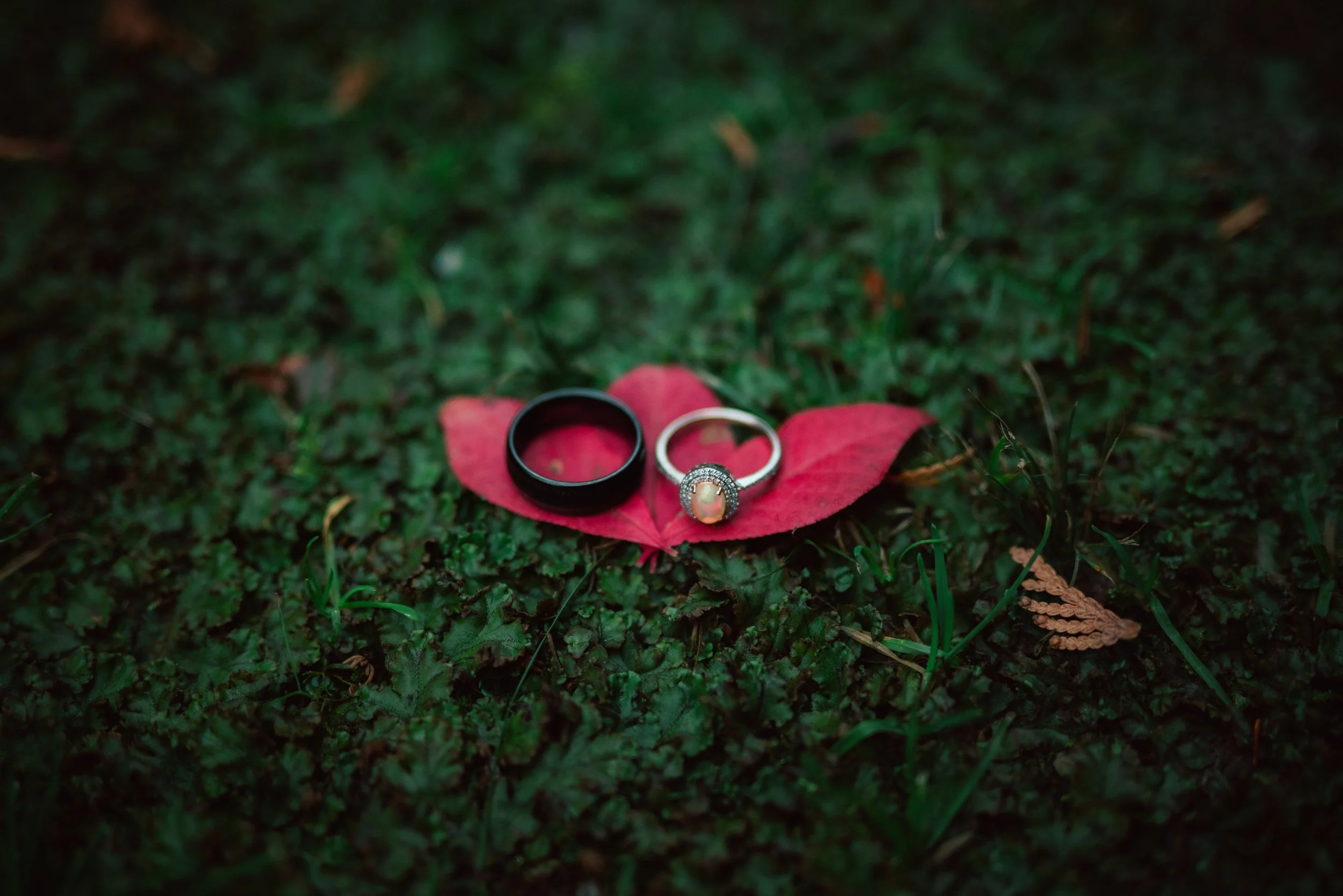 KEALIE_ADAM_WEDDING_DETAILS (9).jpg