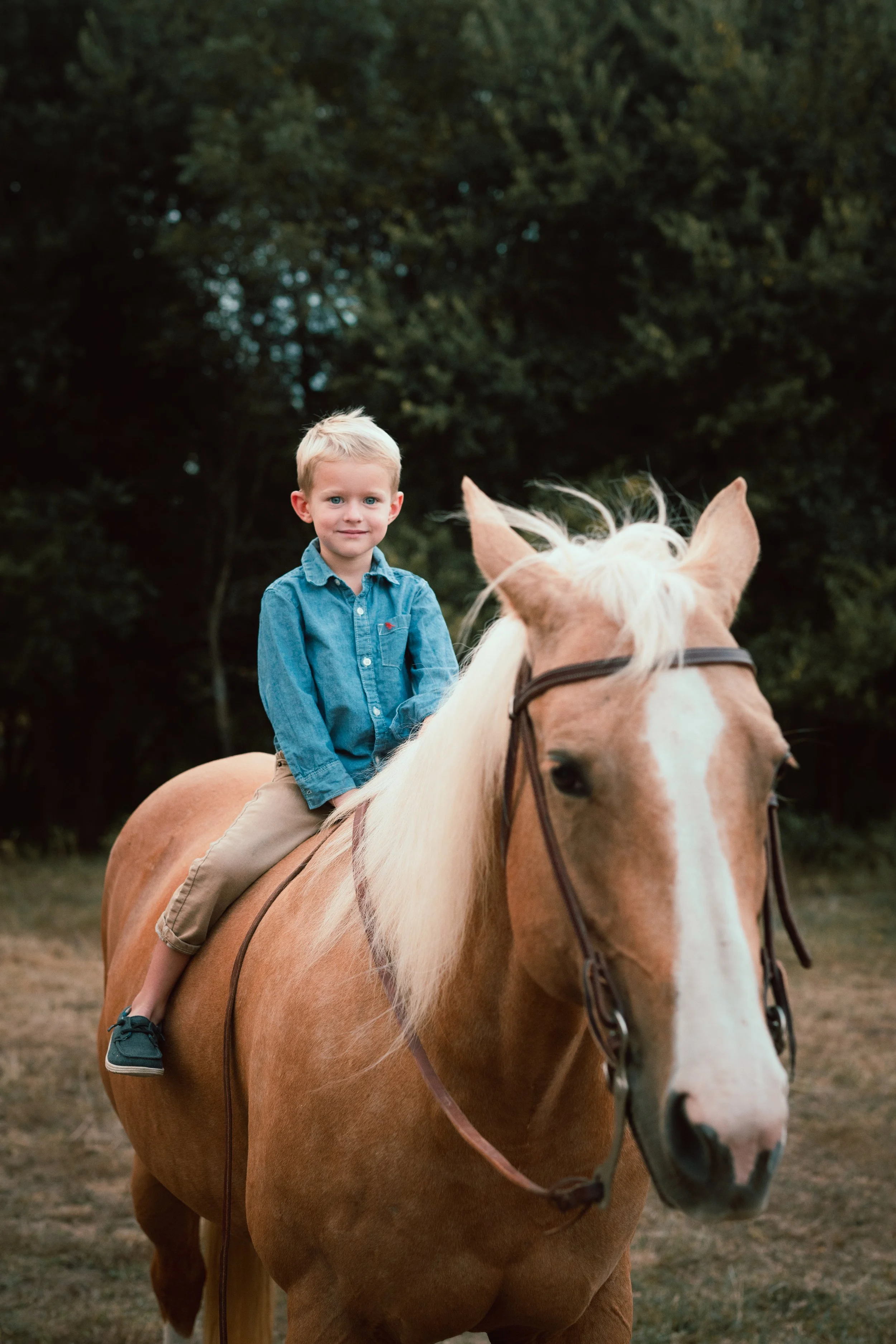 GEYER_FAMILY_FARM_PHOTO_SESSION (31).jpg