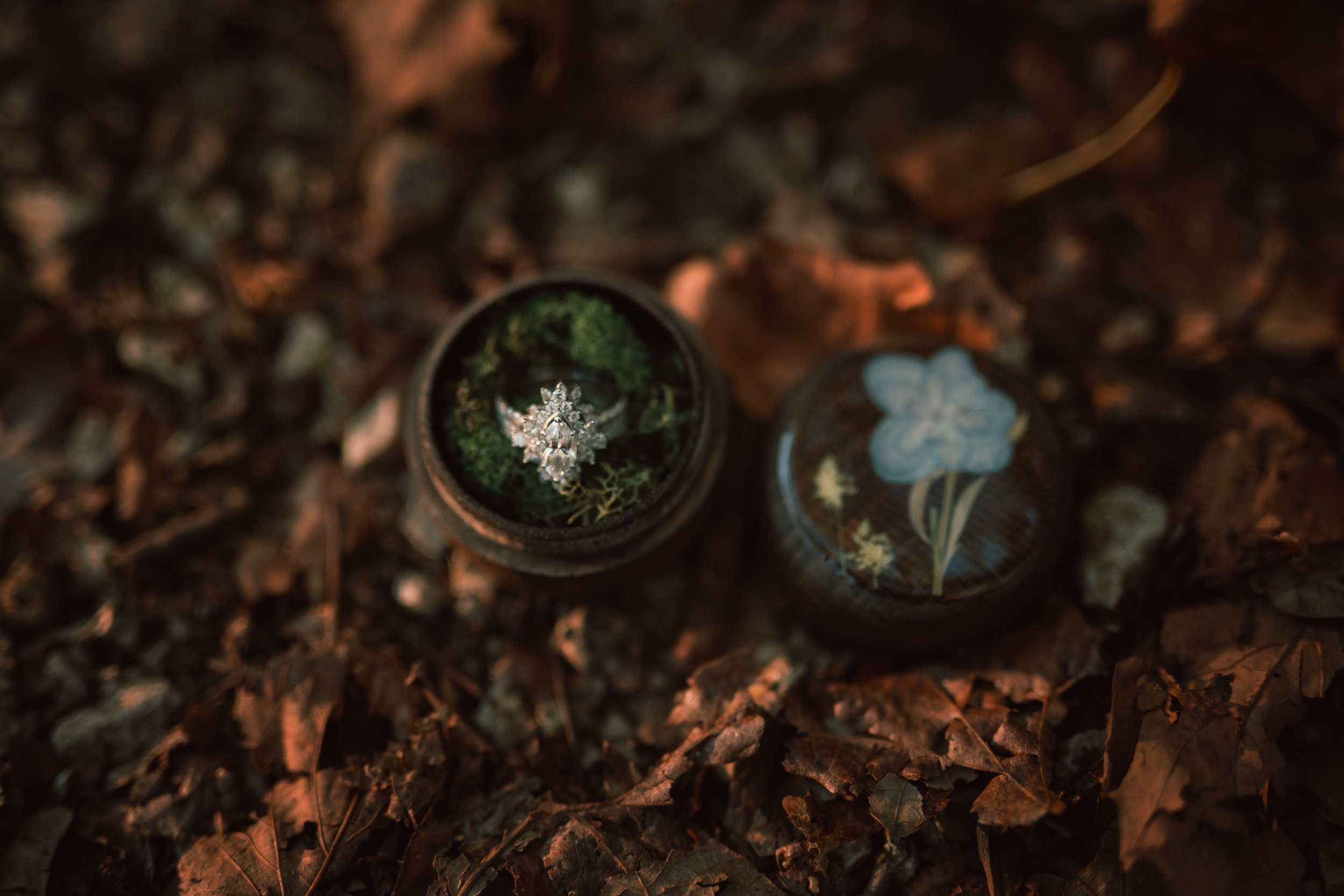 ASHLEY_MATT_ENGAGEMENT_WILSON'S_CREEK (22).jpg