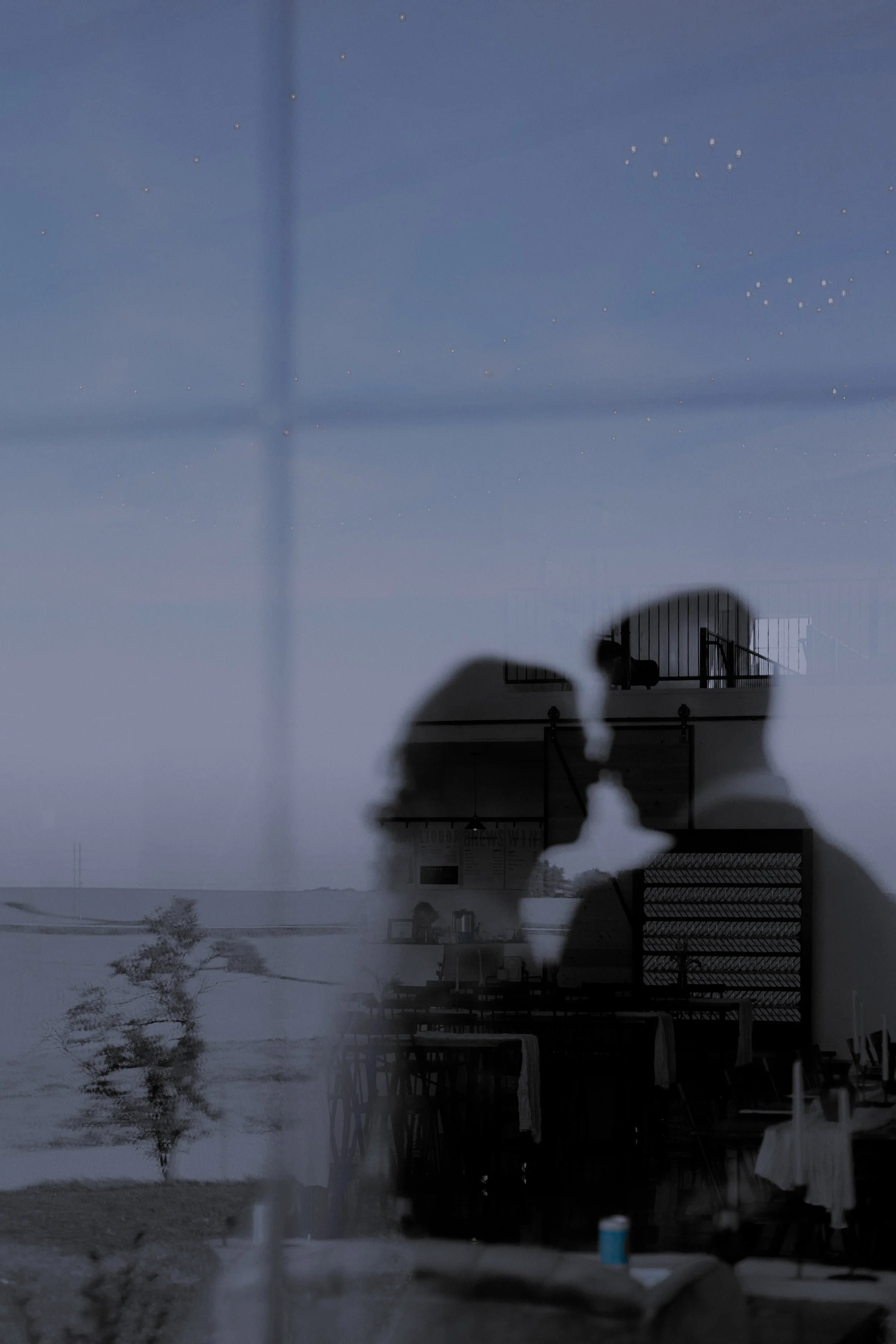 bride and groom nose to nose seen through the reflection of a window at little lights on the lane in iowa city, iowa city photographer