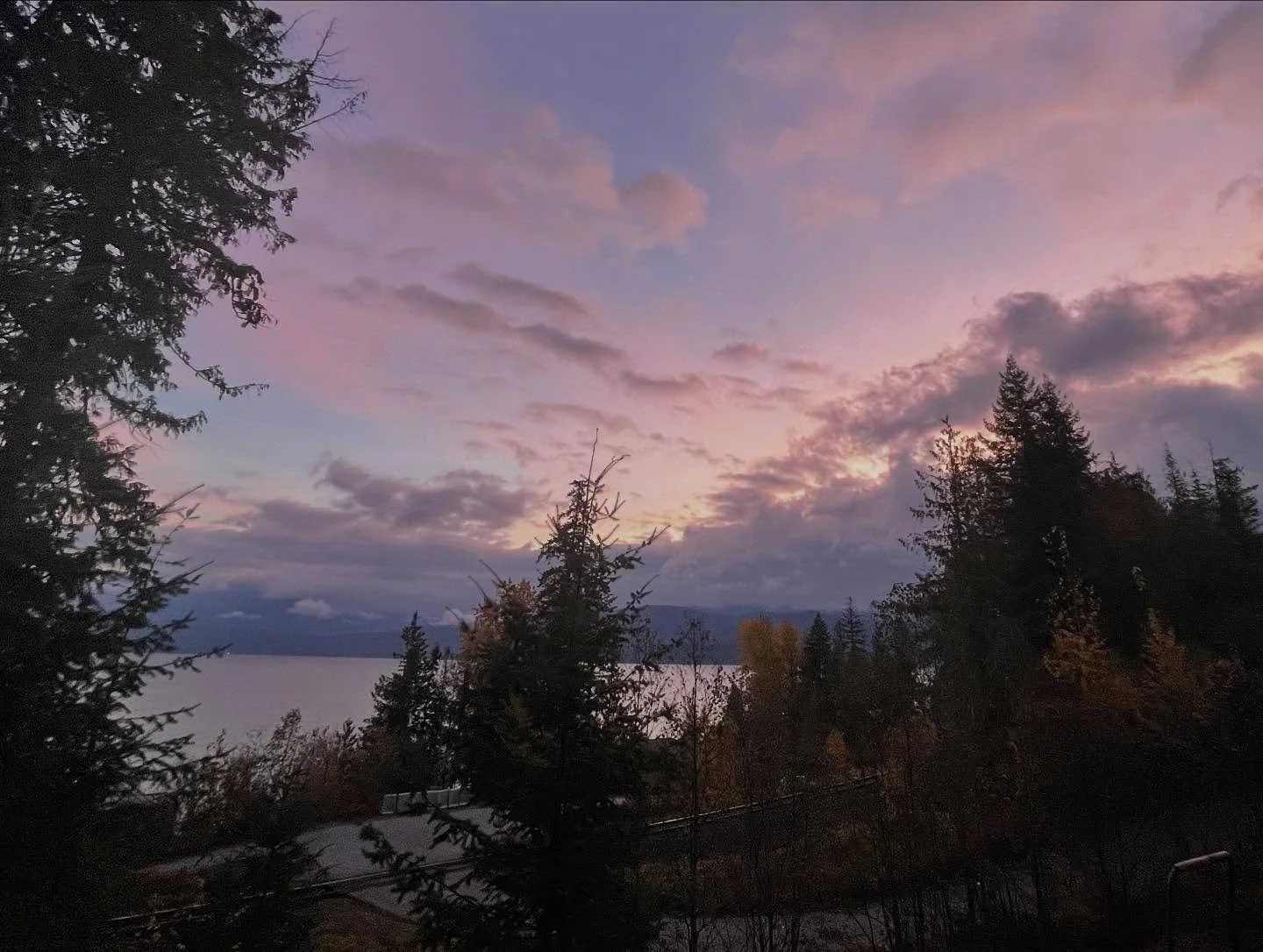 it&rsquo;s not always going to feel this way 
the highs or the lows 
they aren&rsquo;t who you are 
but they are evidence of your aliveness
your heart 
your presence 
your effort 
your courage, willingness, and bravery 
of endings and beginnings
and 