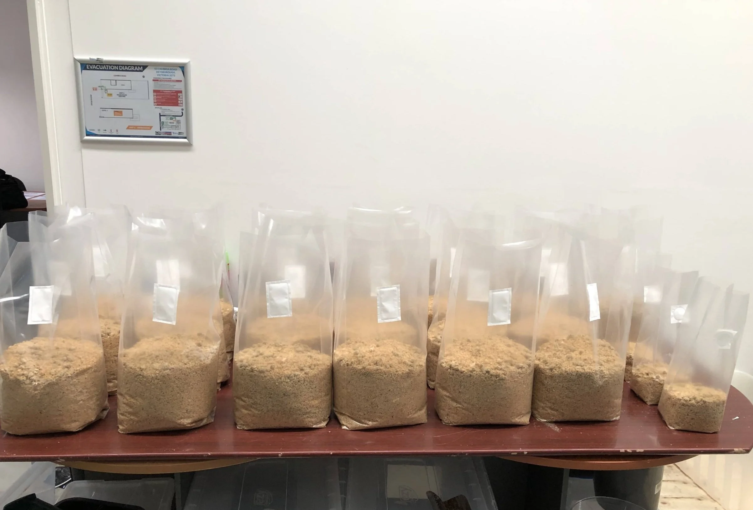 Our Process — Melbourne Mushrooms