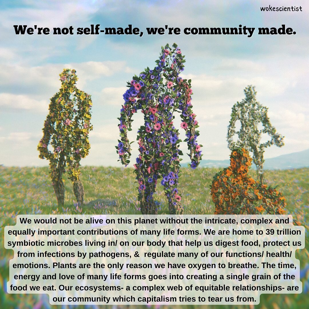 Memes inspired by this week&rsquo;s Cosmic Anarchy newsletter (link in bio)-
Humans aren&rsquo;t separate from nature, we&rsquo;re a part of it. Community building is about cultivating complex ecological relationships with each other &amp; all life f