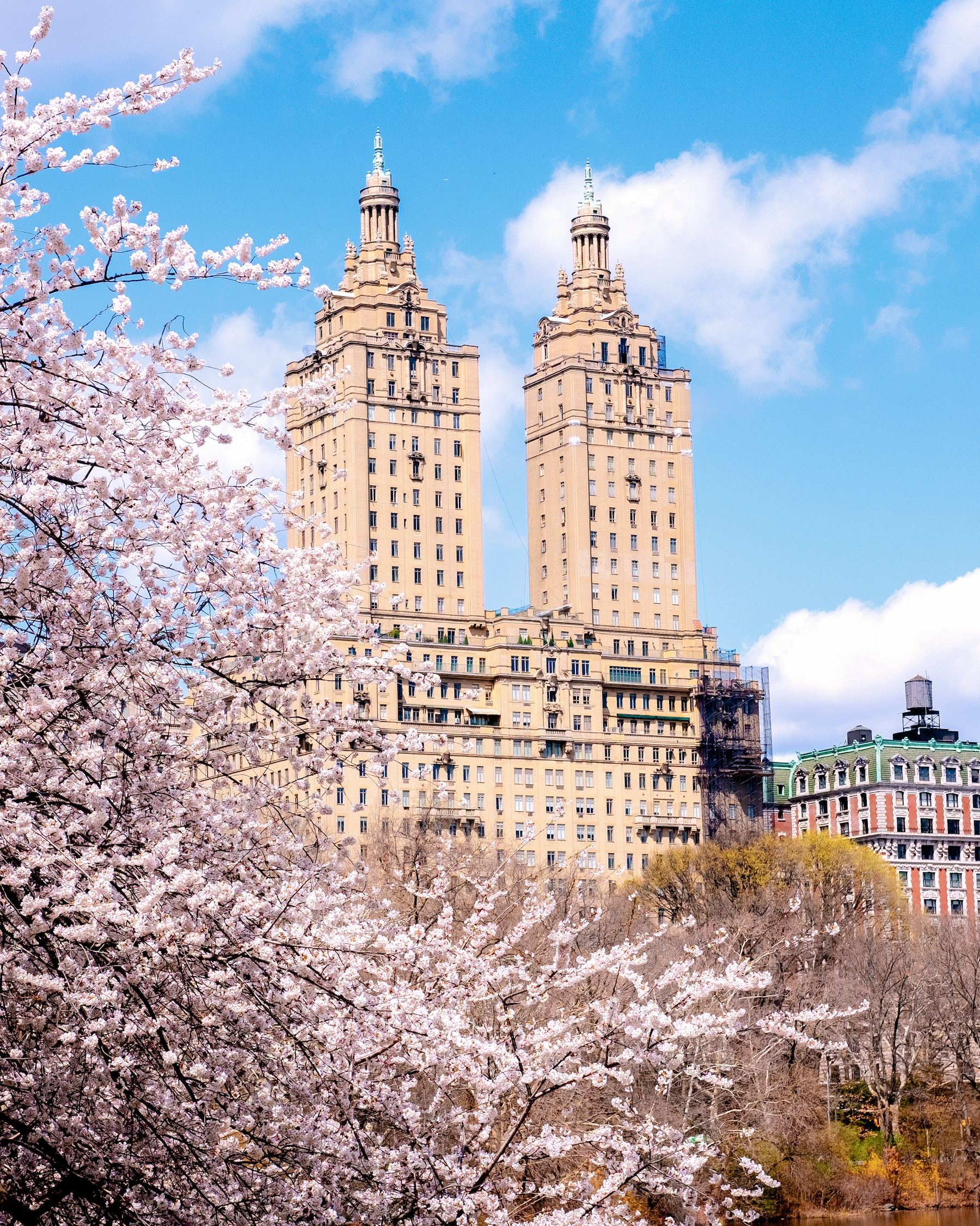 buildingflowers copy.png