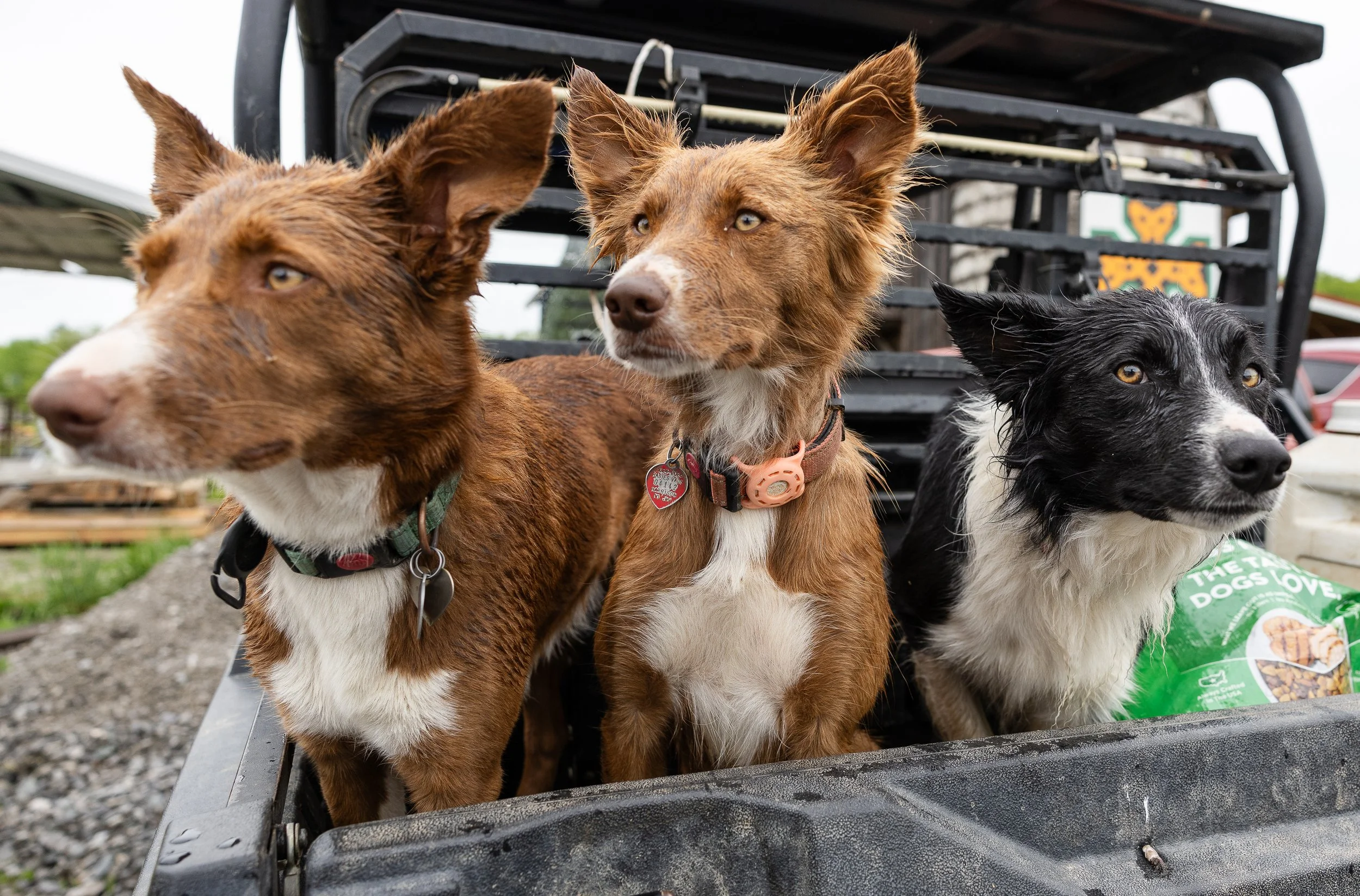 May 03, 2025_2025-11.jpg