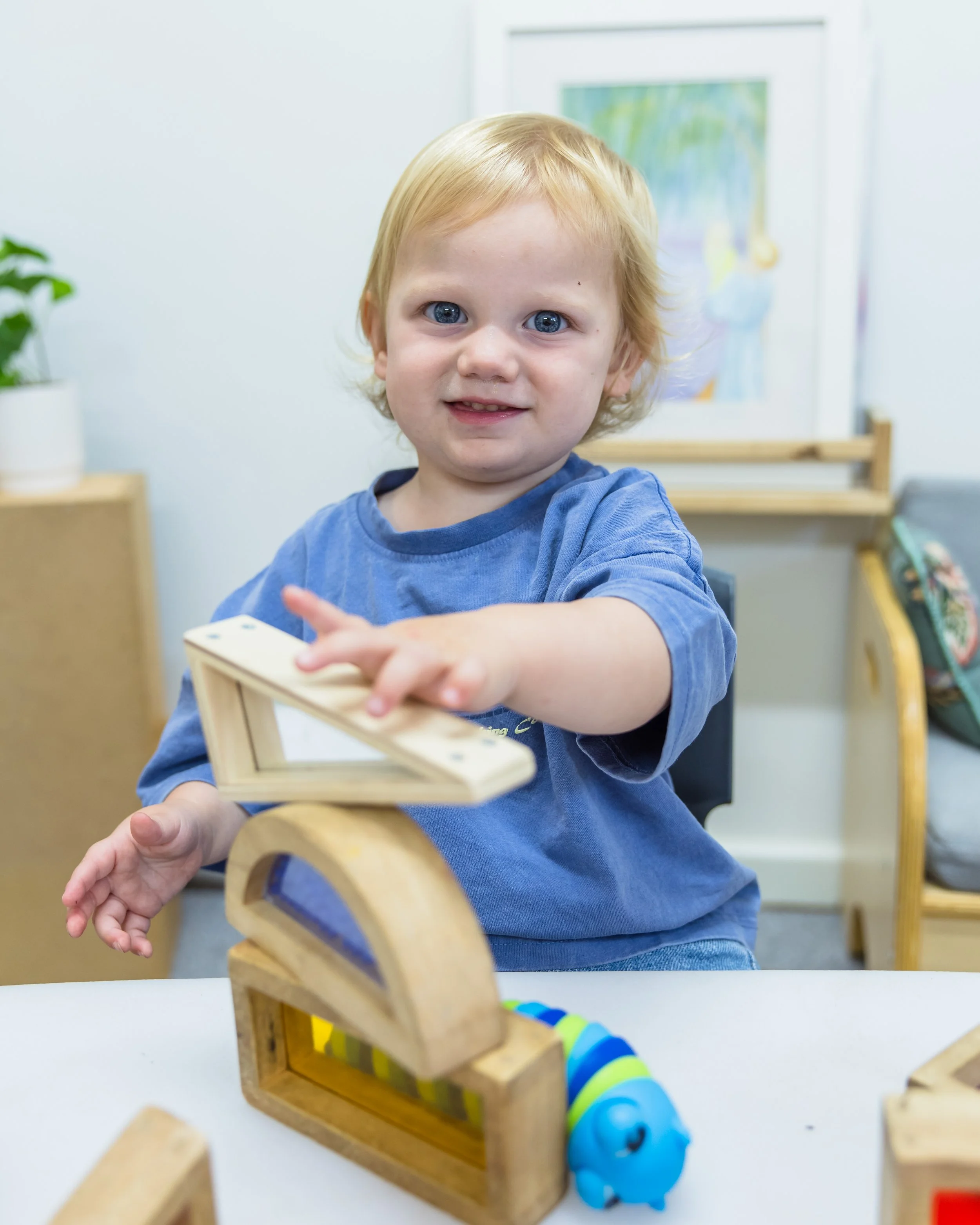 BFS-Bulli2025-42 Knox.jpg