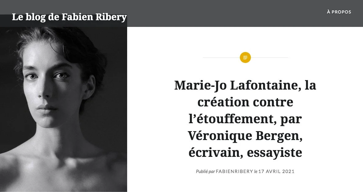 Le blog de Fabien Ribery