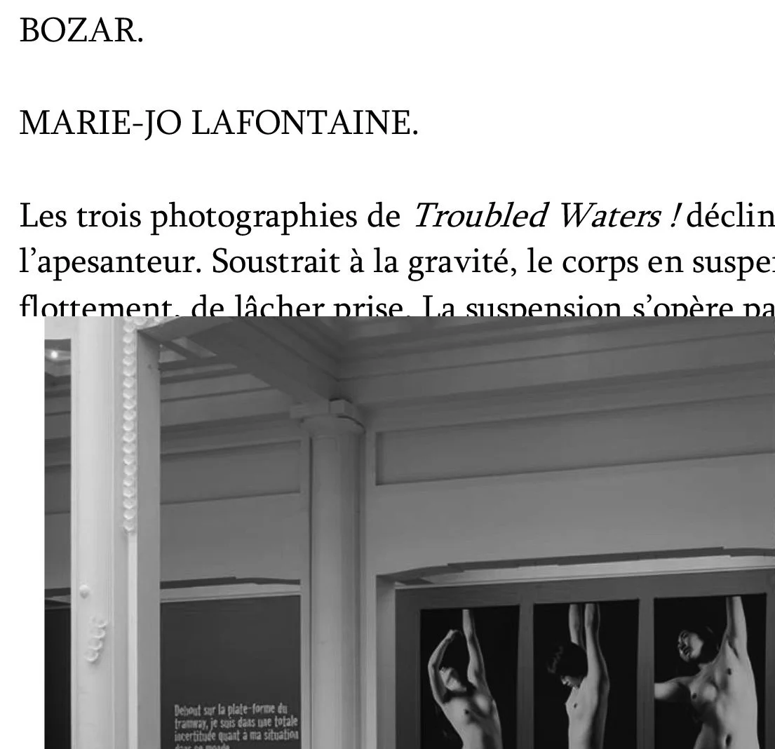 FR 2019 Troubled Waters Bozar