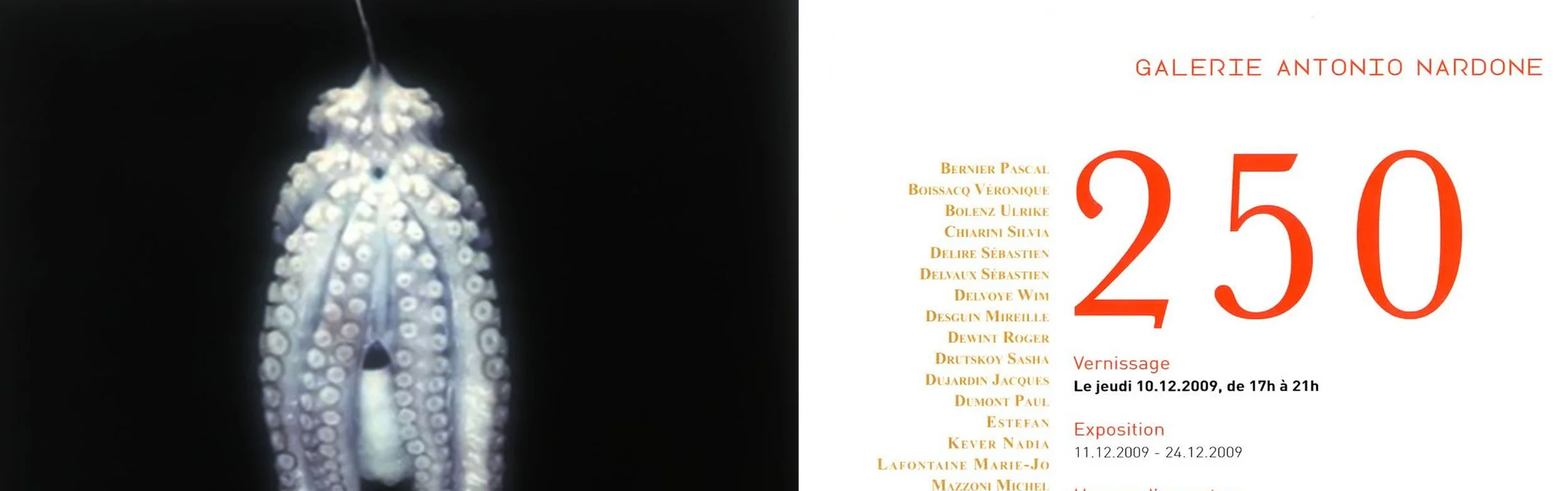 GALERIE ANTONIO NARDONE BRUXELLES 2009