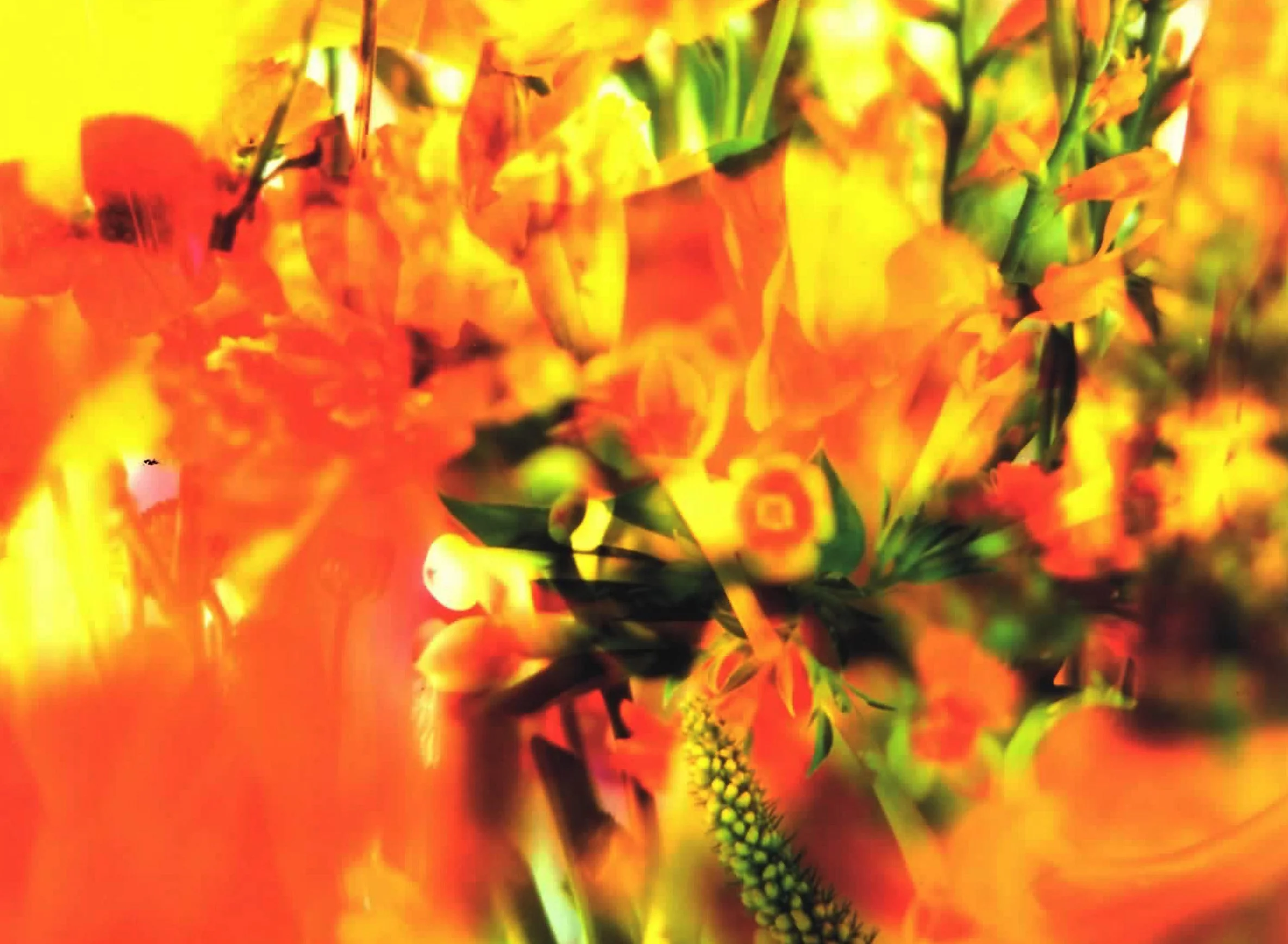 GALERIE GUY PIETERS SAINT-PAUL DE VENCE 2014