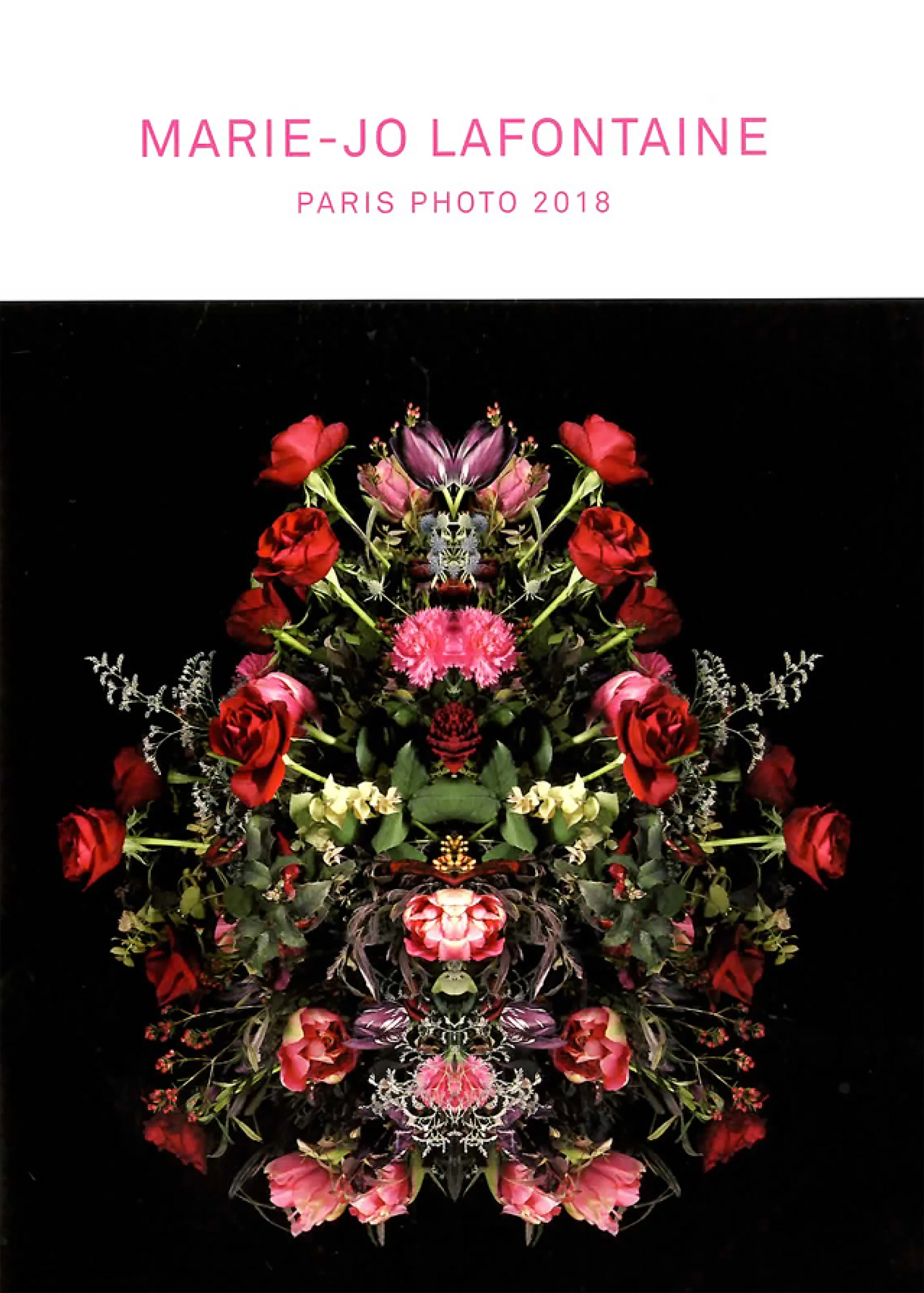 FR 2018 PARIS PHOTO