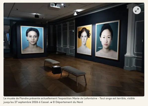 L'artiste contemporaineMarie-Jo Lafontaine,exposée au musée deFlandre de Cassel, est décédée