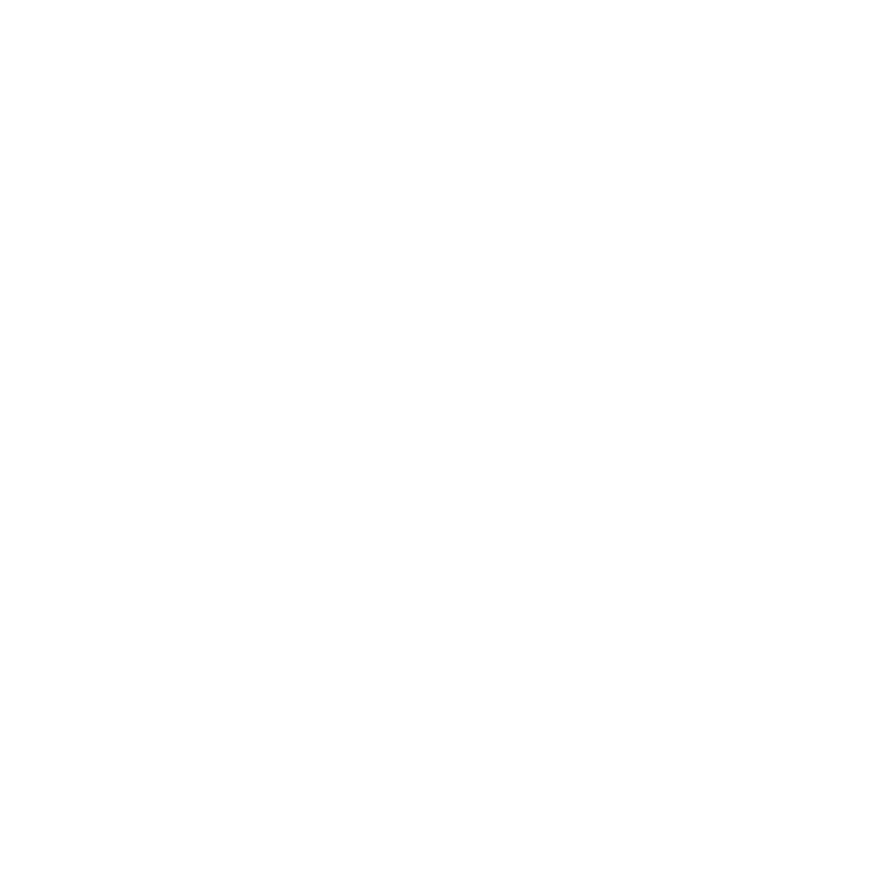 TheCairnProject_Logo_White.png