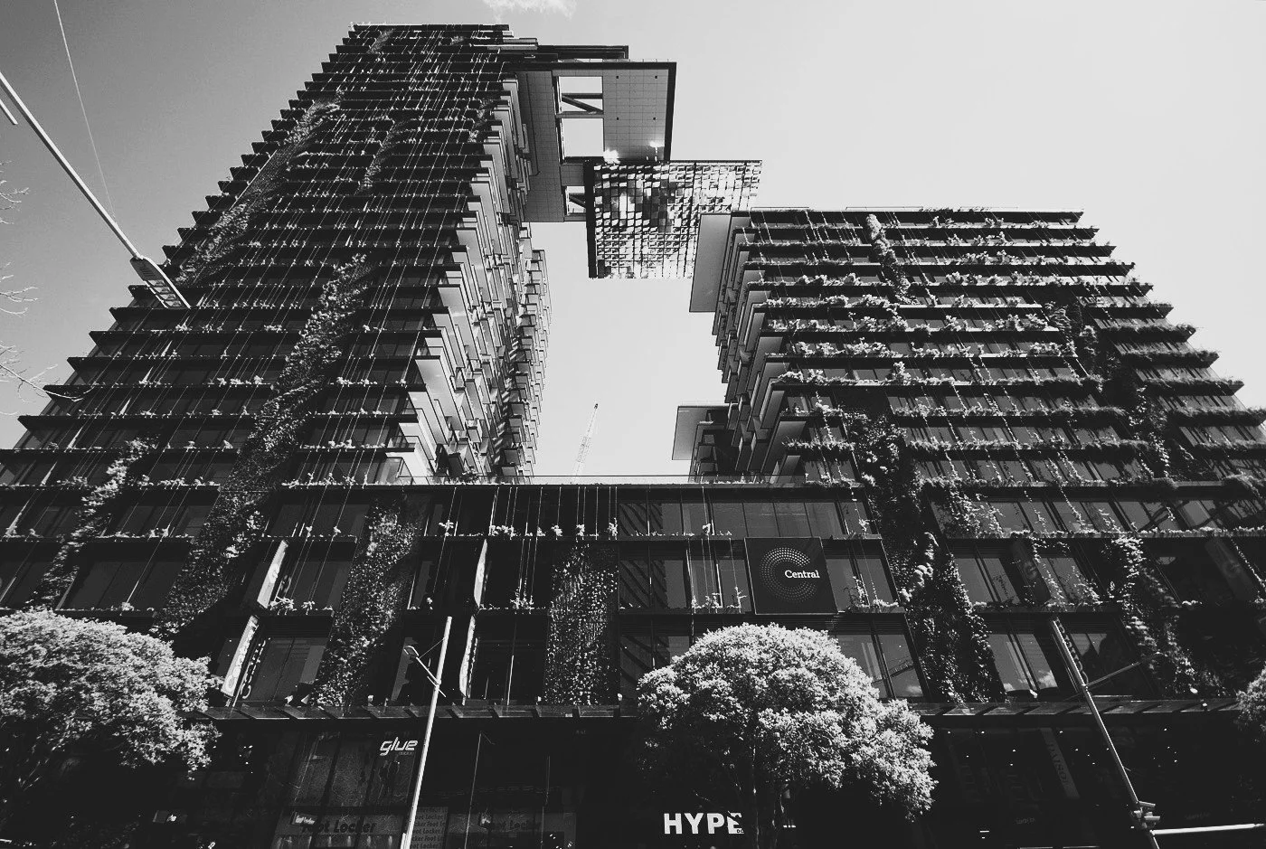 Broadway looking up.jpg