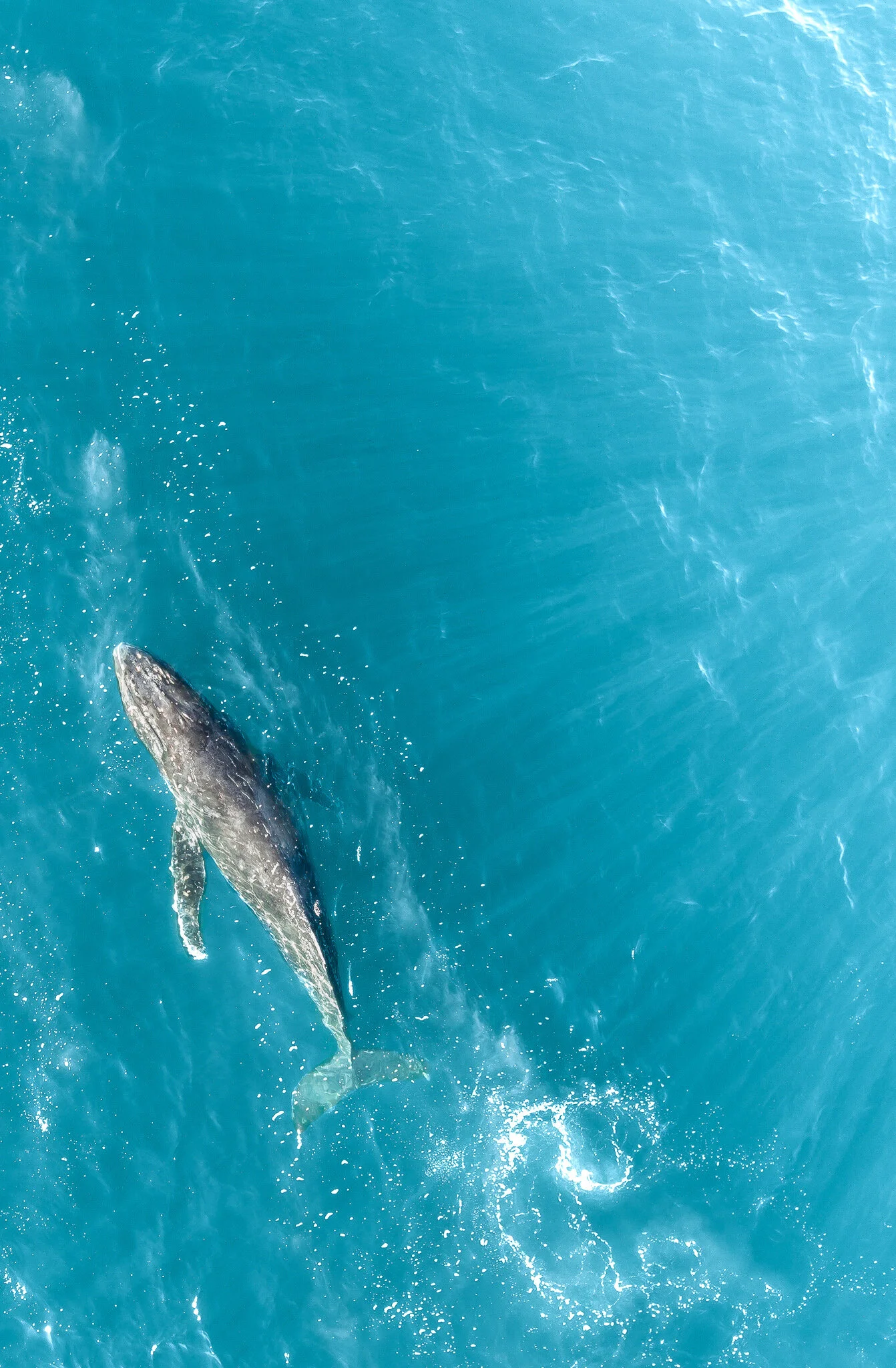 DJI_0321.jpg
