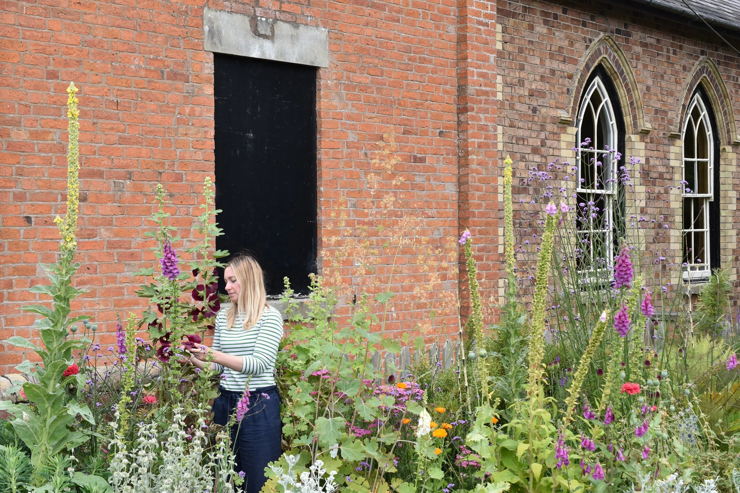 natural plant dyes // hollyhock