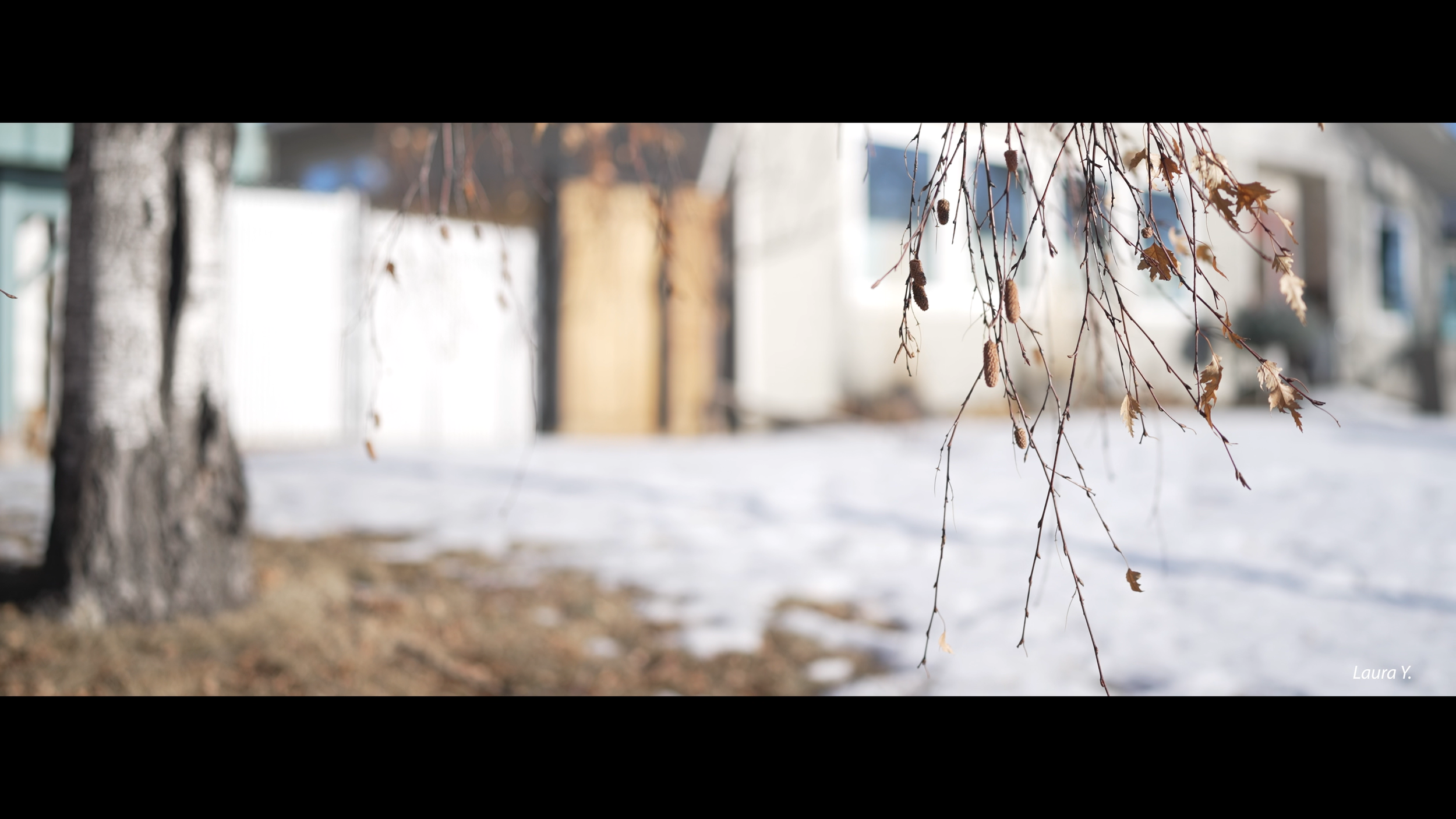 “Calgary Walk" (2023) | Short Film