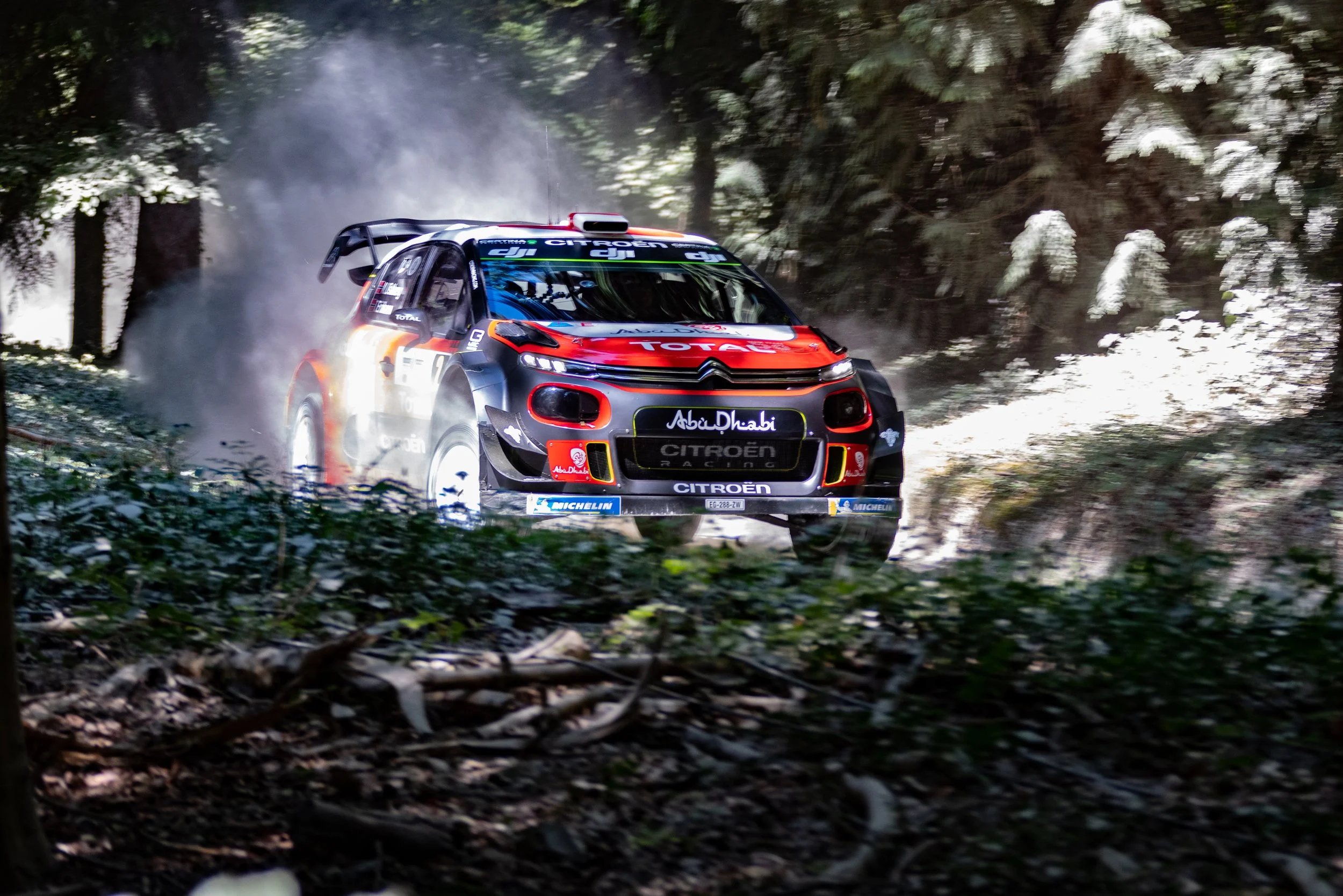 WRC Citroen in Wald Motosportfoto