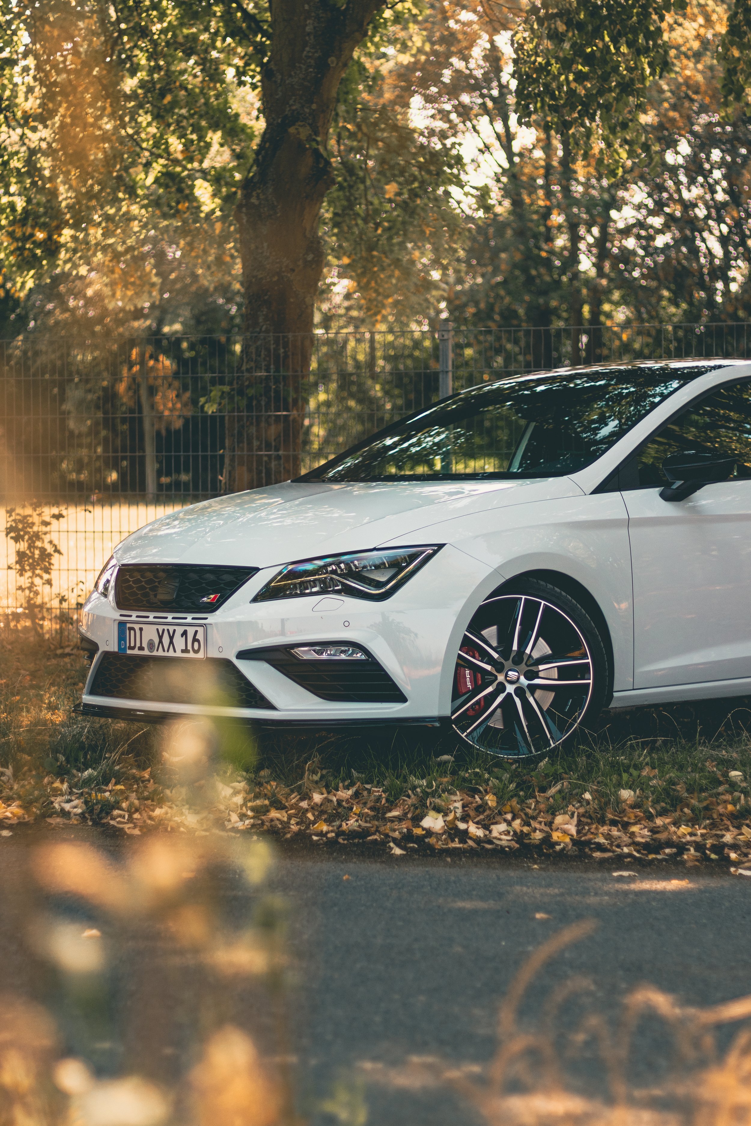 Weißer sportlicher PKW im Grünen mit Herbstlaub, seitlicher Blick.