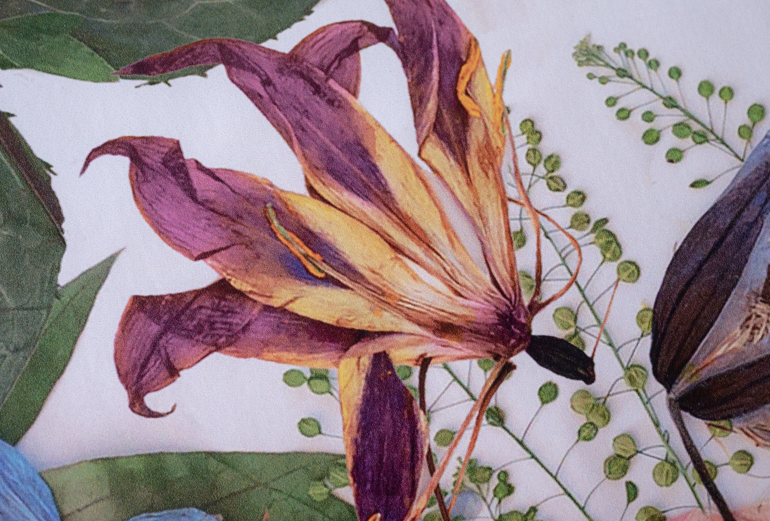 Peel and Stick Matte Color.jpg