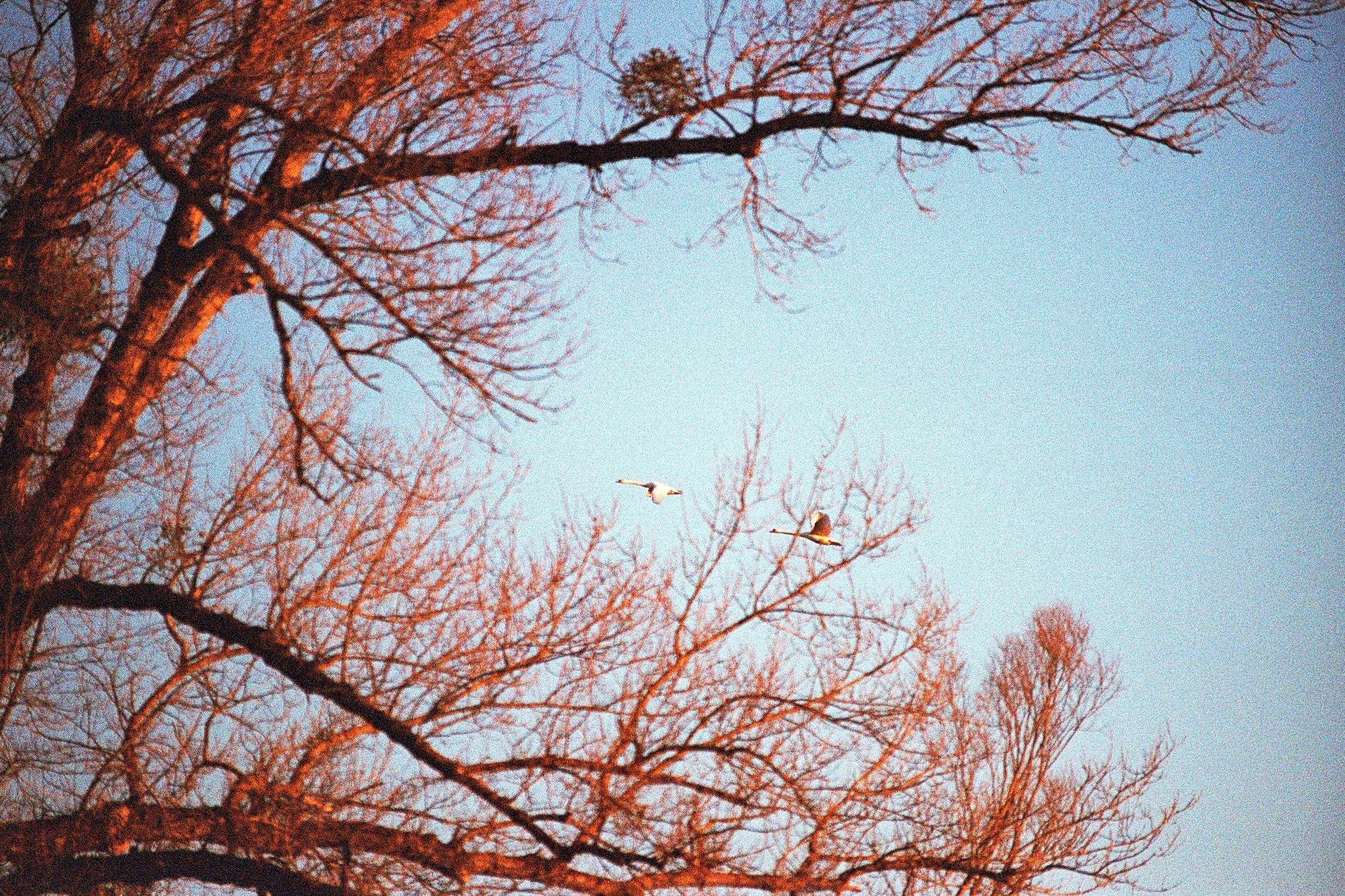 Nature1 (15).jpg