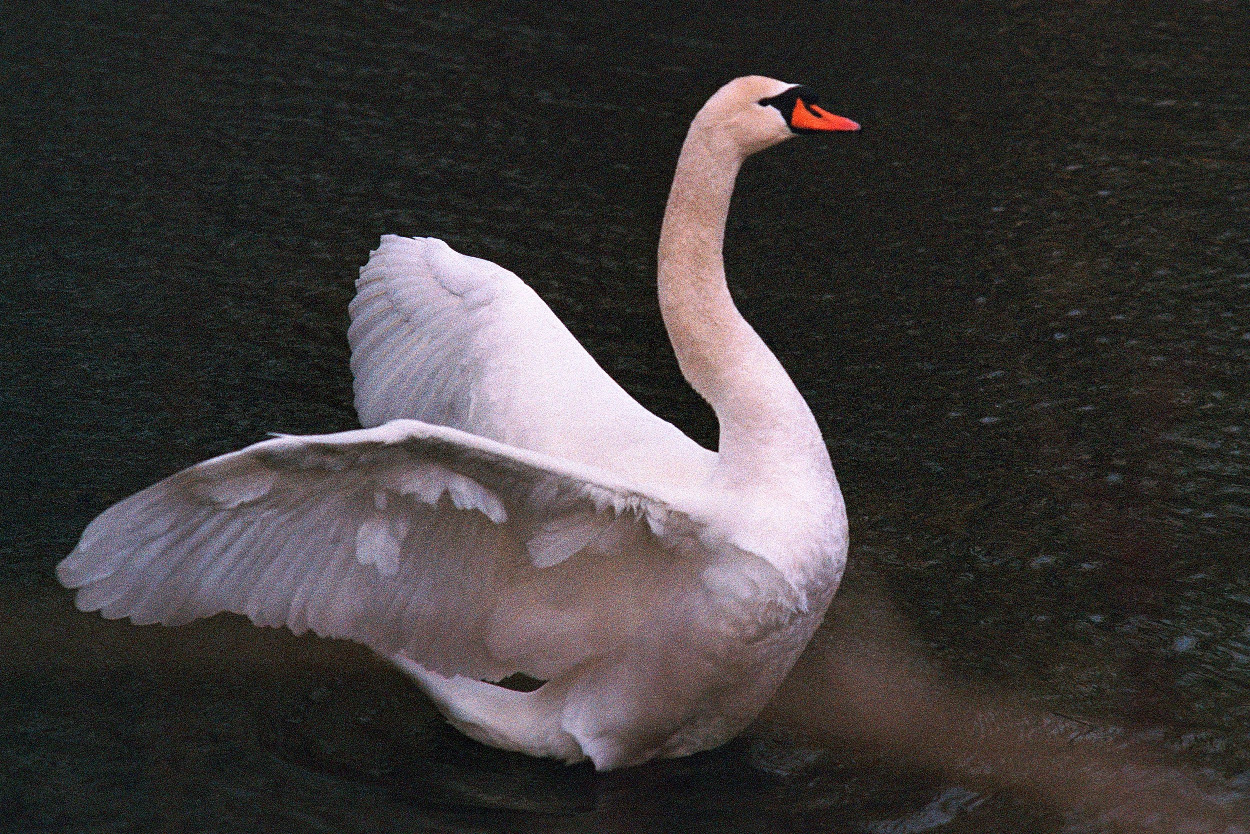 Nature1 (8)-3.jpg