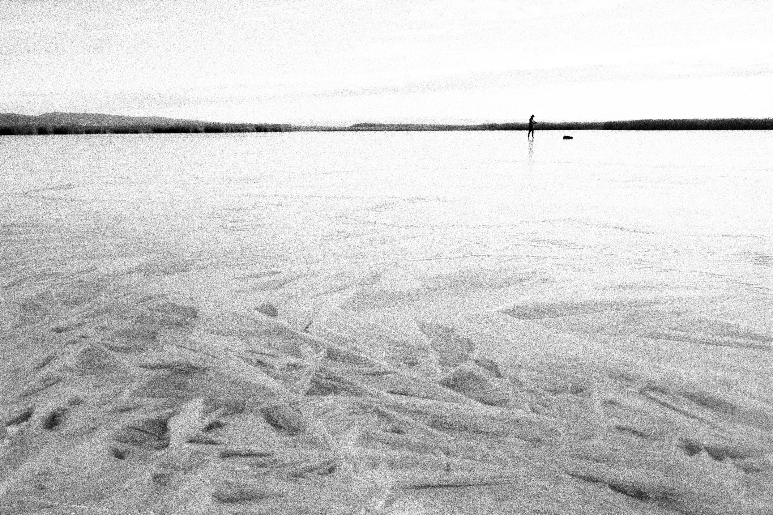 Neusiedlersee 2024 (6).jpg