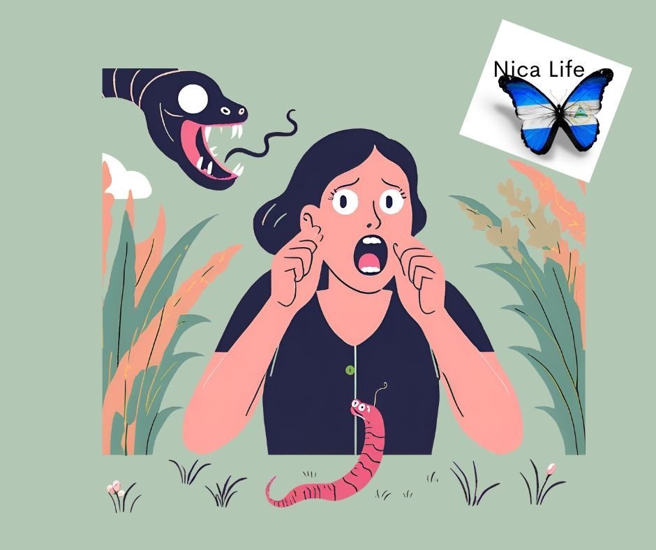That time a snake fell on my head when I opened the door......I was quite composed I thought 🧘&zwj;♀️😱....the family may have said otherwise 🤣

See link in Bio for sign up details 

#nicalife #nicanature #travellingherbalist