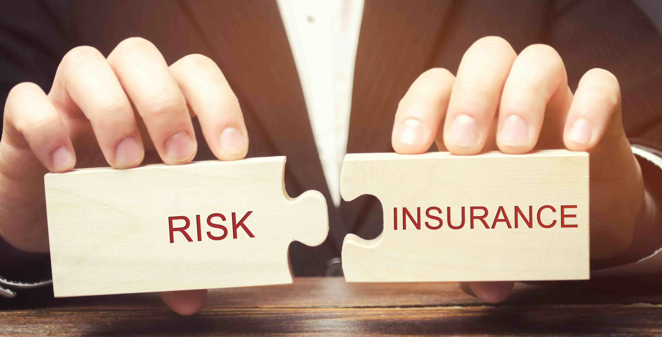 Humanitarian Insurance Risk Transfer 101 — Centre for Disaster Protection