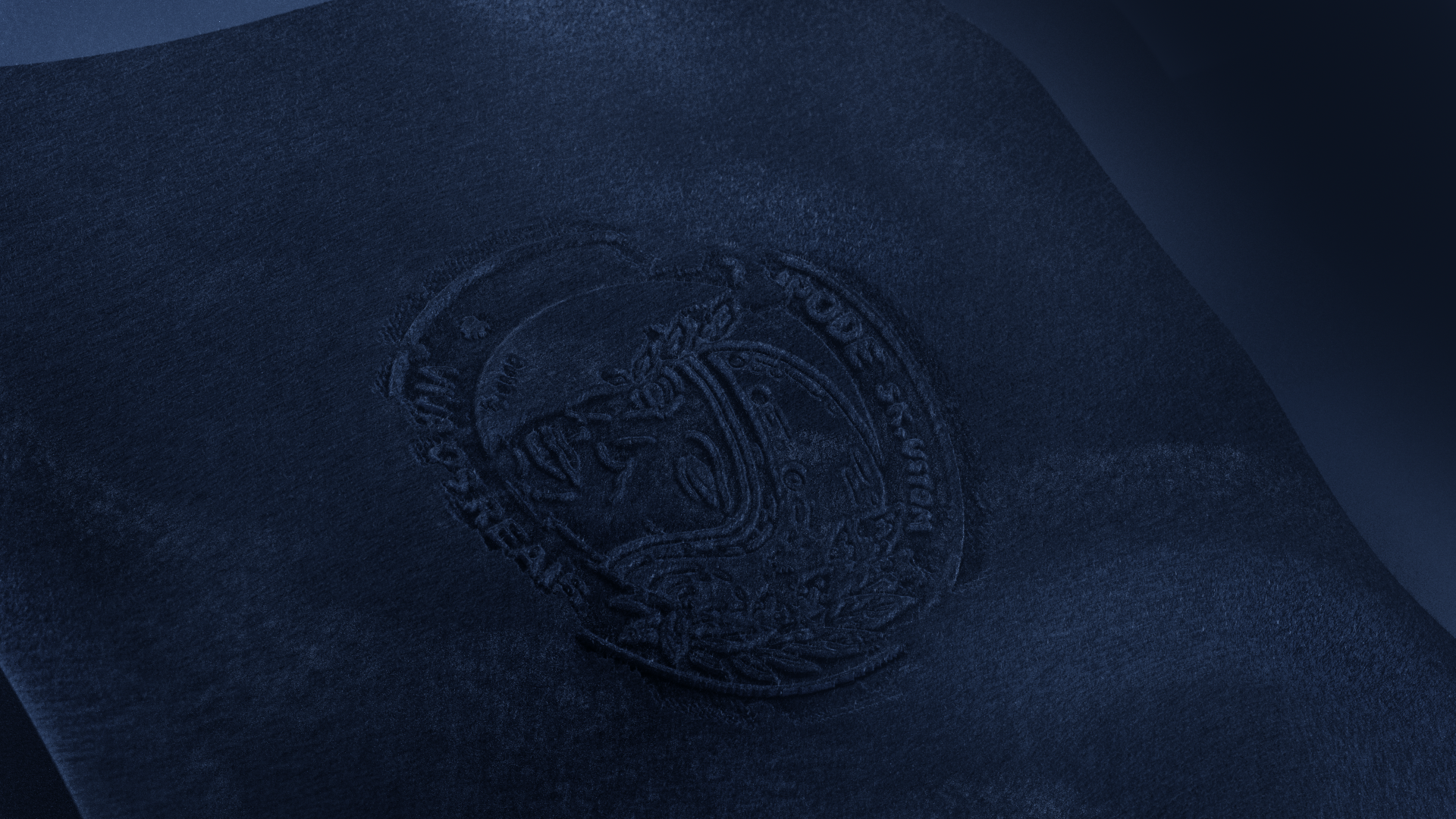 TUPODE_CAMU_16X9_00461.png