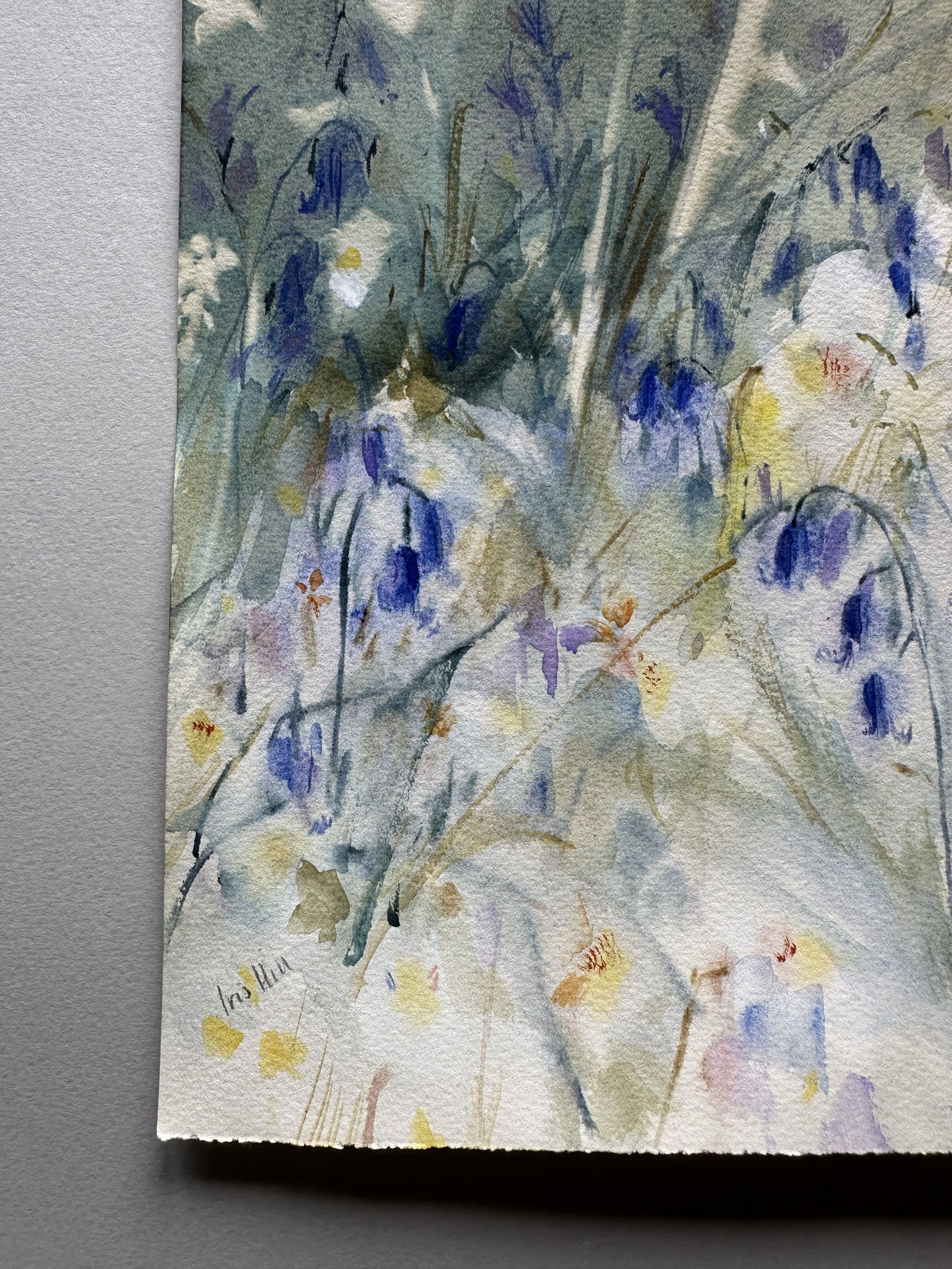 Bluebell 3.jpg