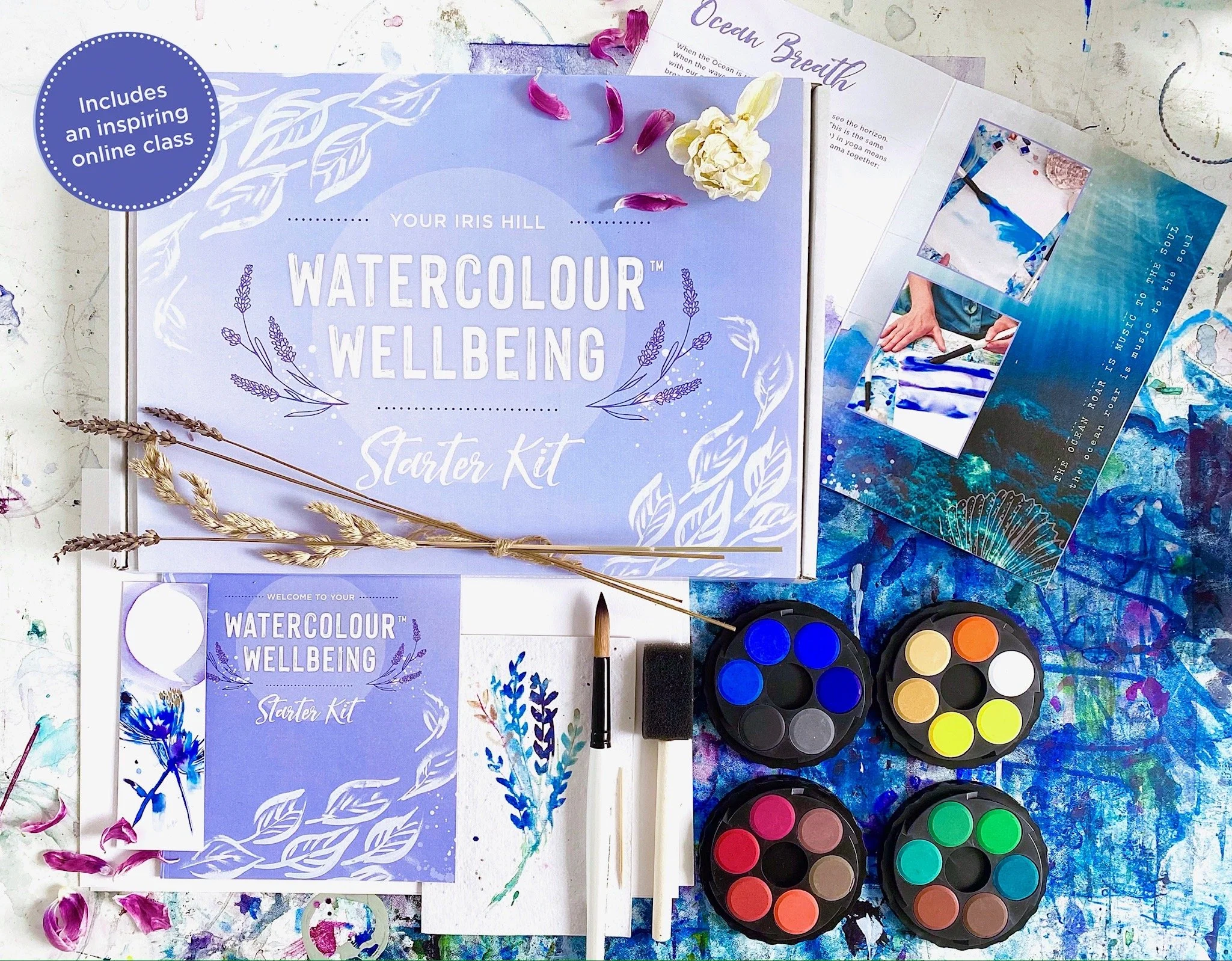 Iris Hill · Botanical watercolour artist based on the South Coast of