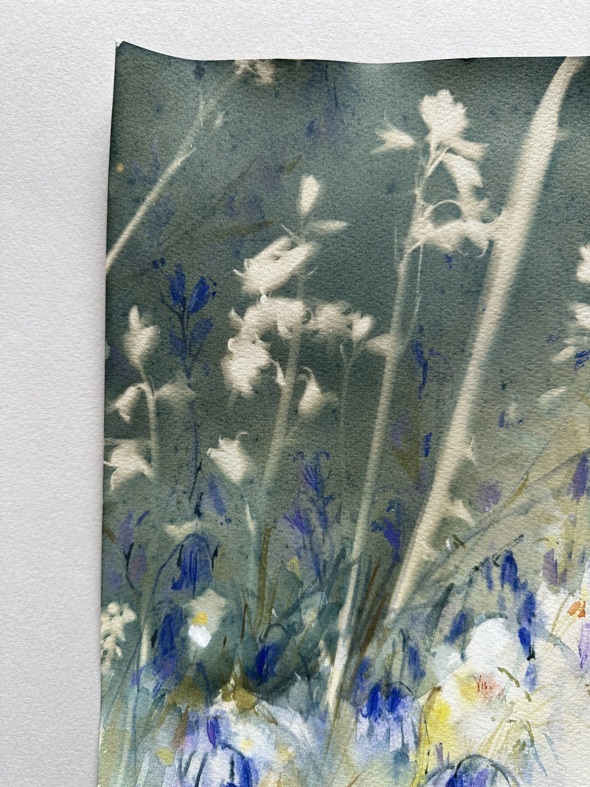Bluebell 2.jpg