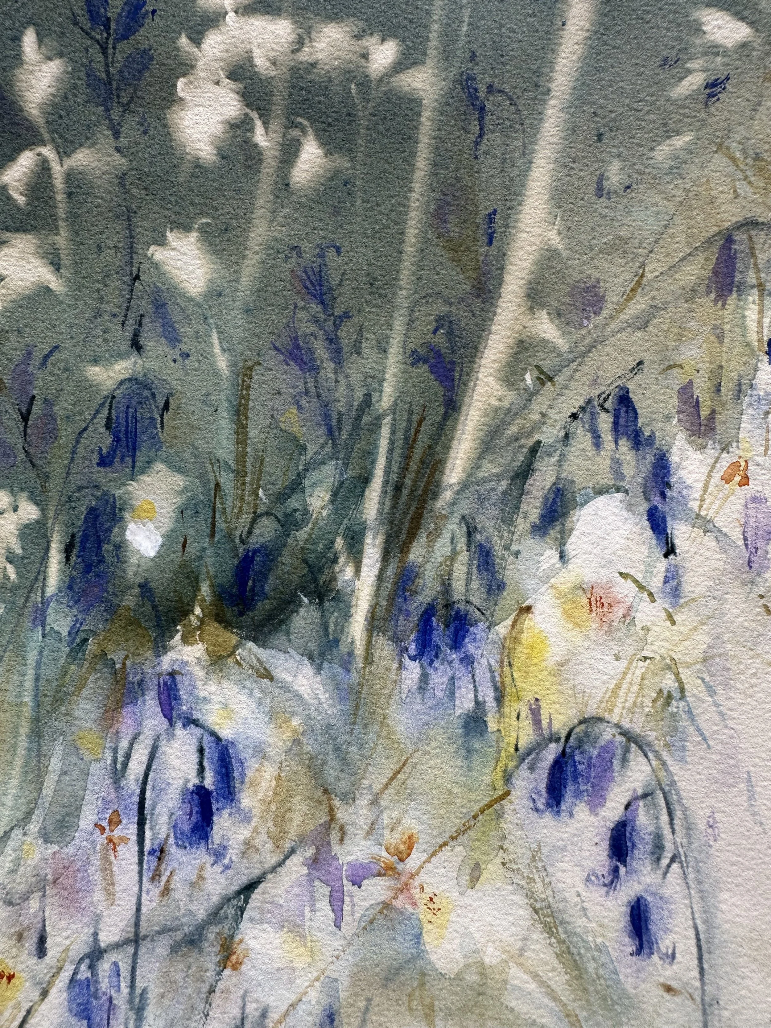 bluebell 5 .jpg