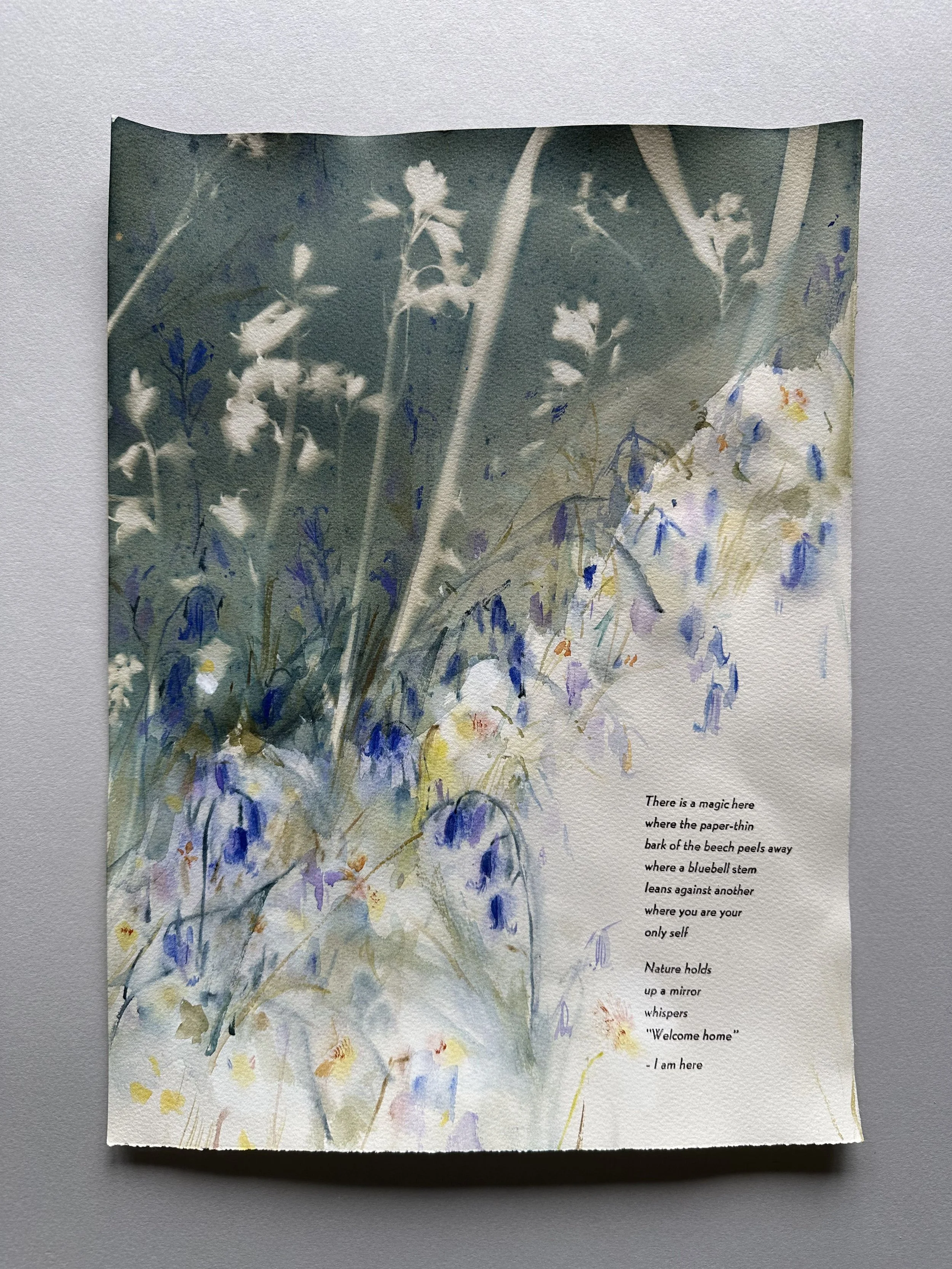 Bluebell 1.jpg