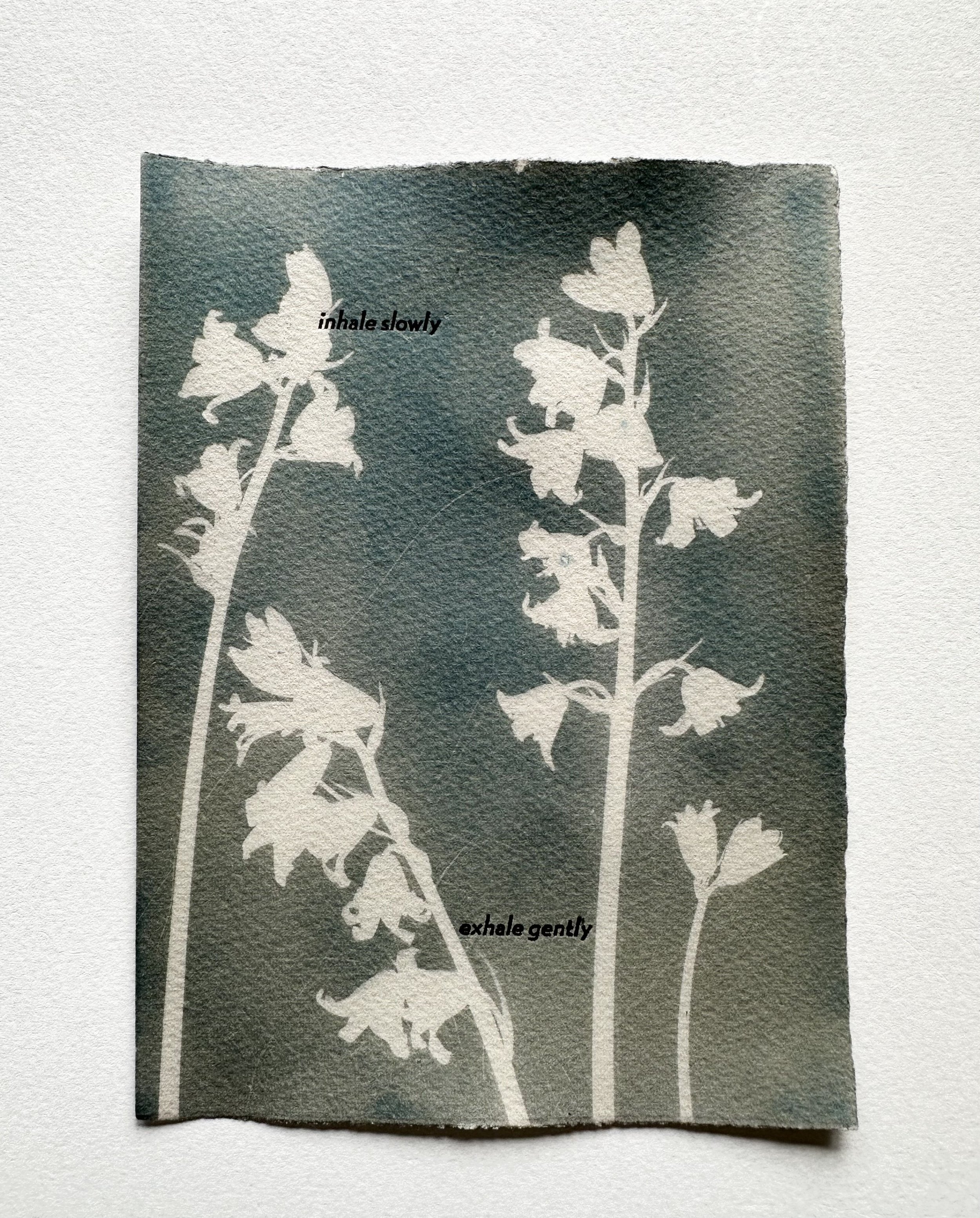 Untitled design-18 copy 5.jpg