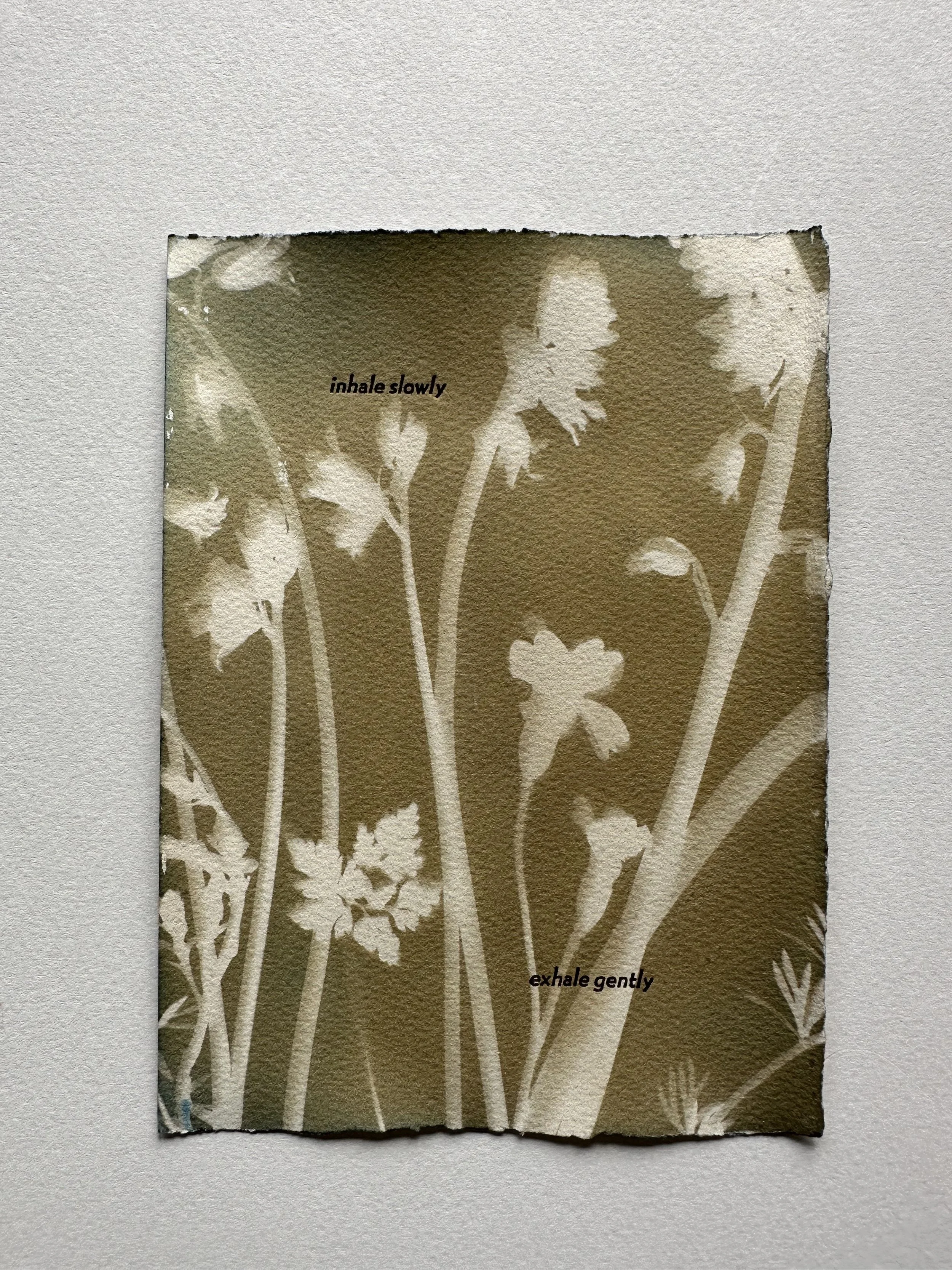 Original Cyanotype & Letterpress | Inhale slowly- Bluebells II (5.5 x 7.5")