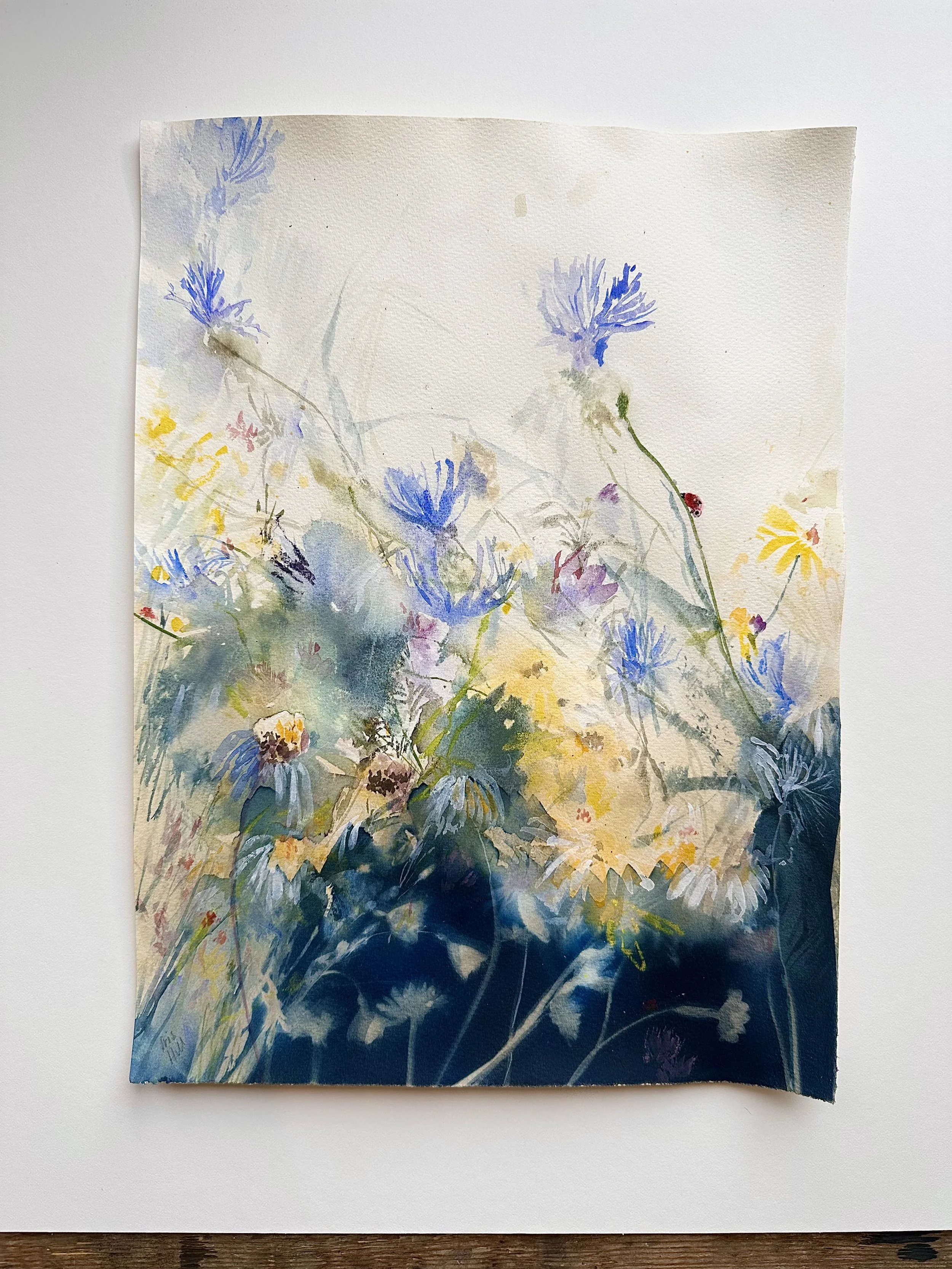 Memories of a Wildflower - Meadow I.jpg