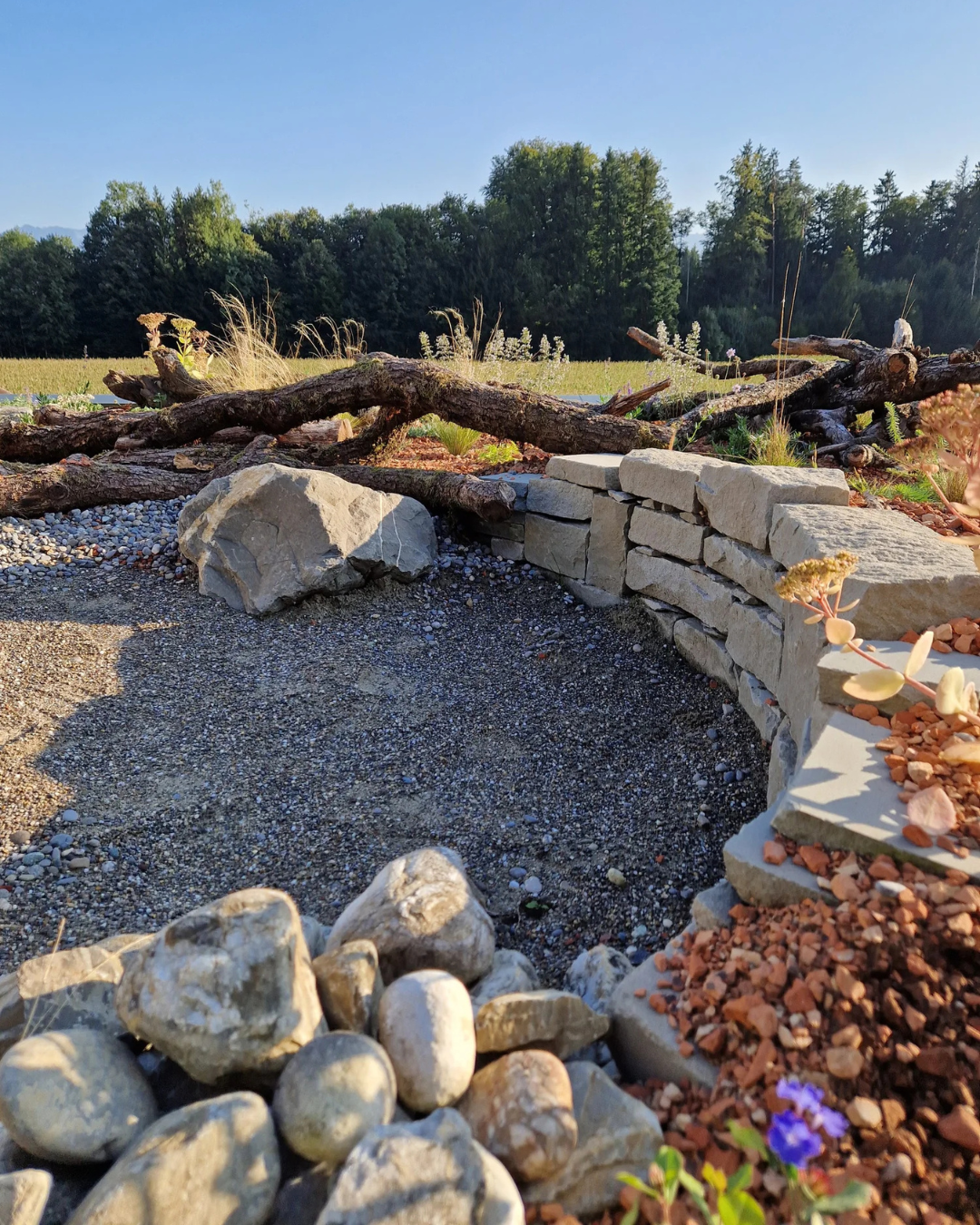 Grüne Dächer für eine lebendige Zukunft!