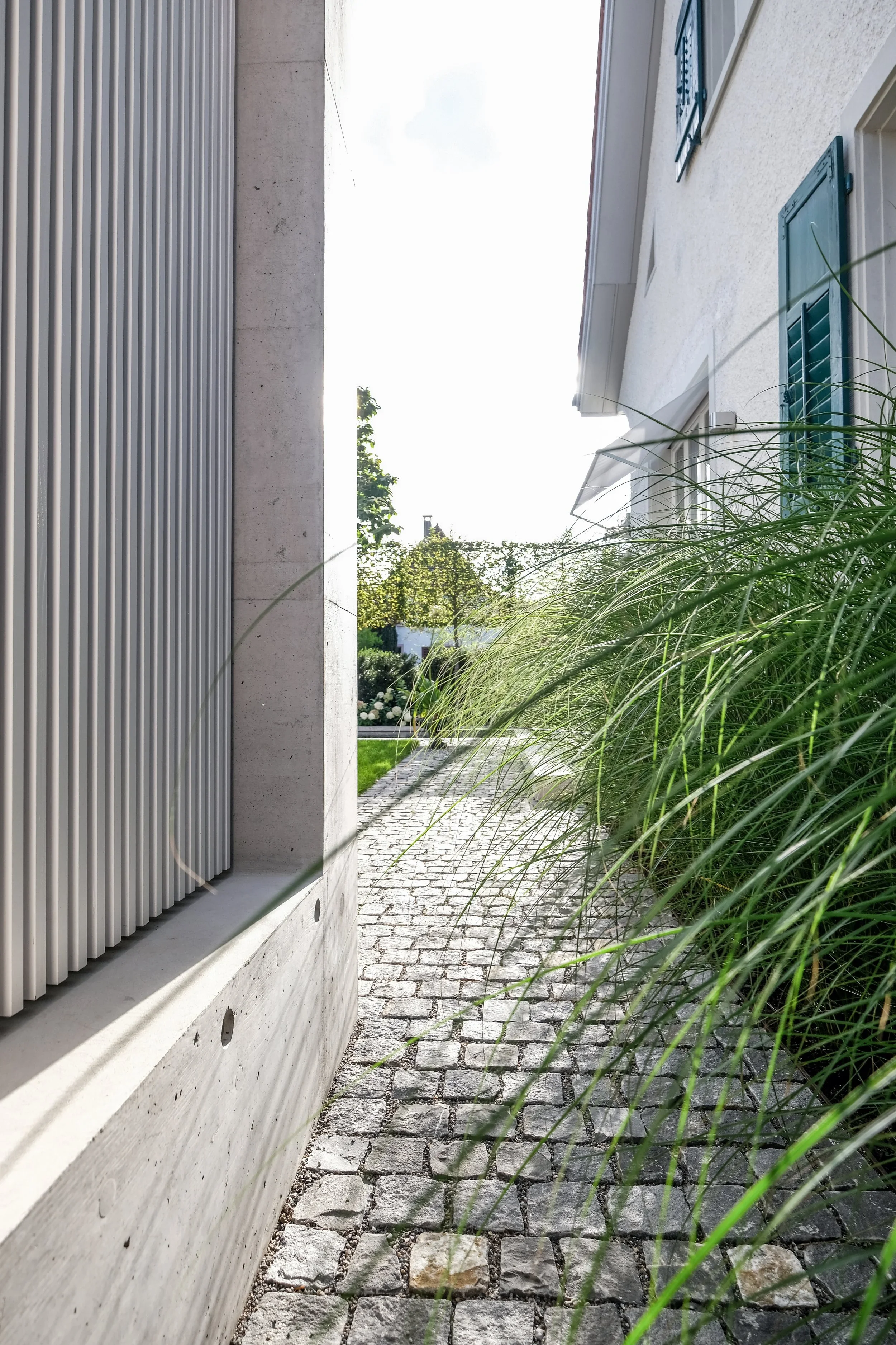 DSCF2634-2.webp
